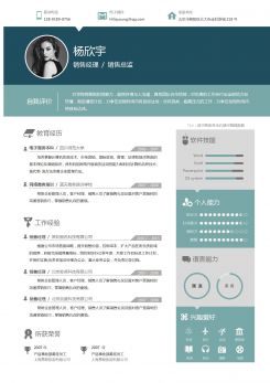 销售总监双页求职简历模板