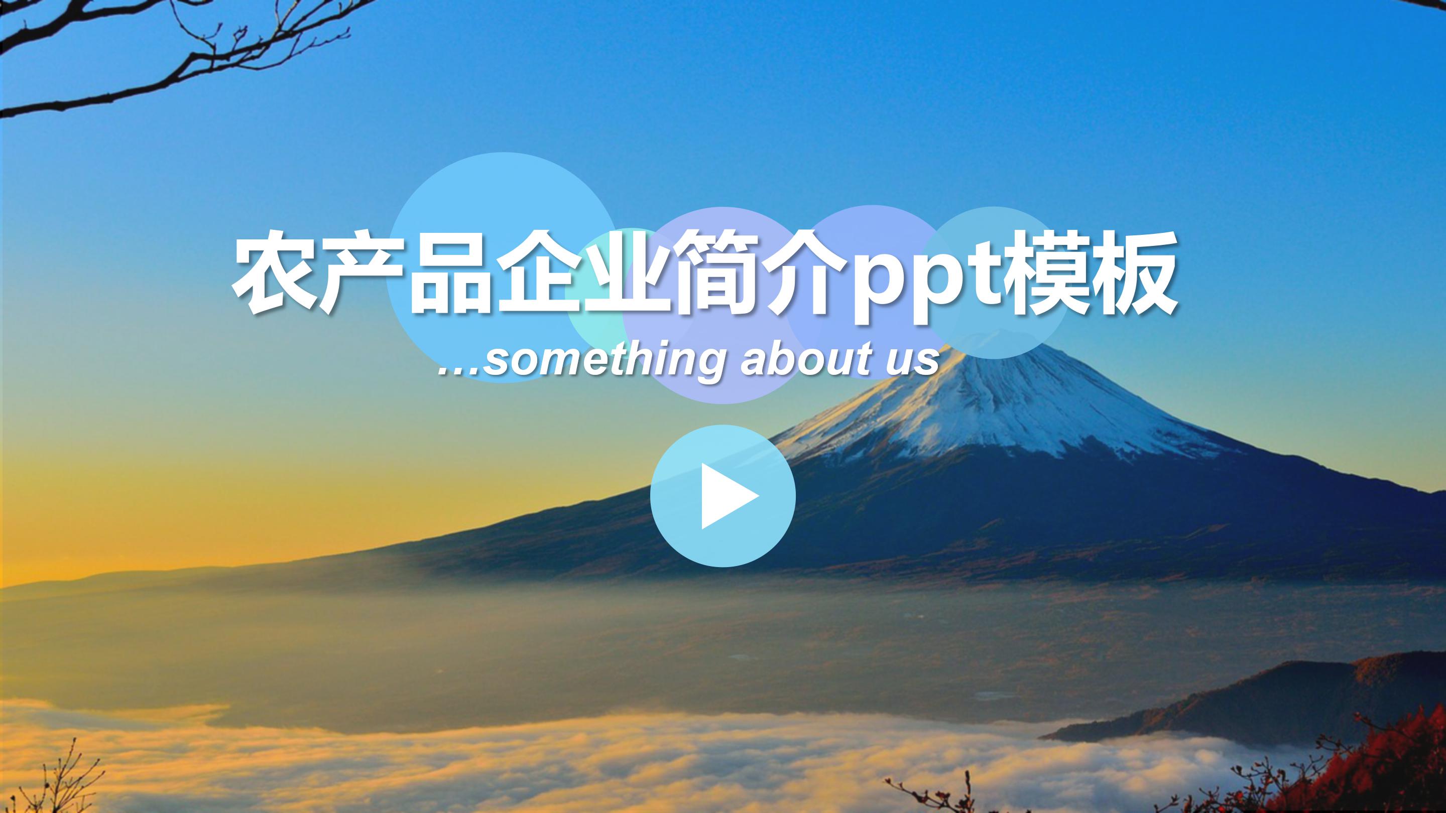 农产品企业简介ppt模板