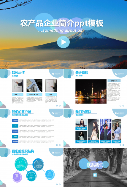 农产品企业简介ppt模板