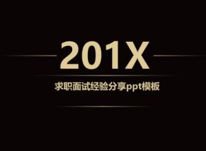 求职面试经验分享ppt模板