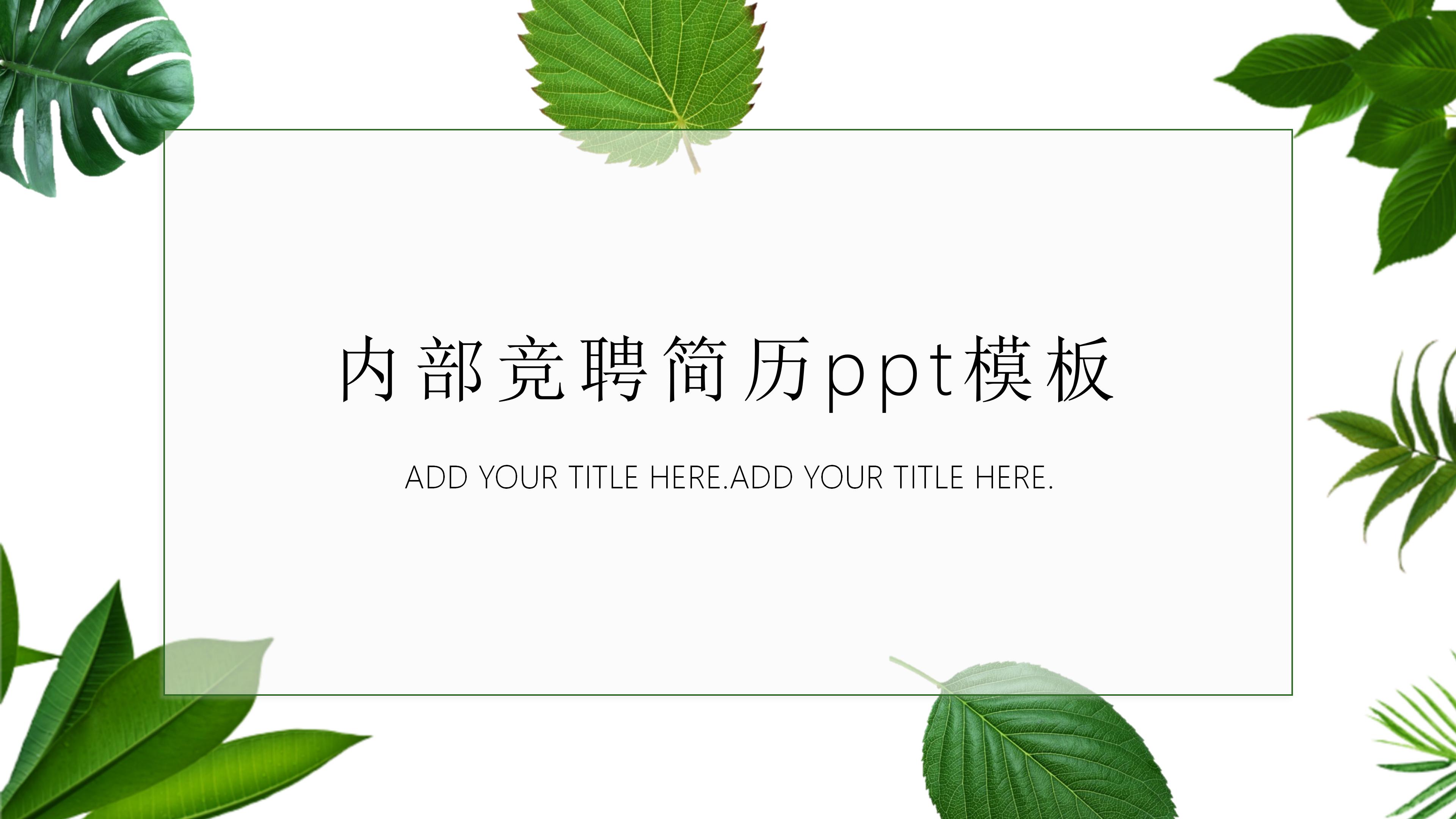 内部竞聘简历ppt模板