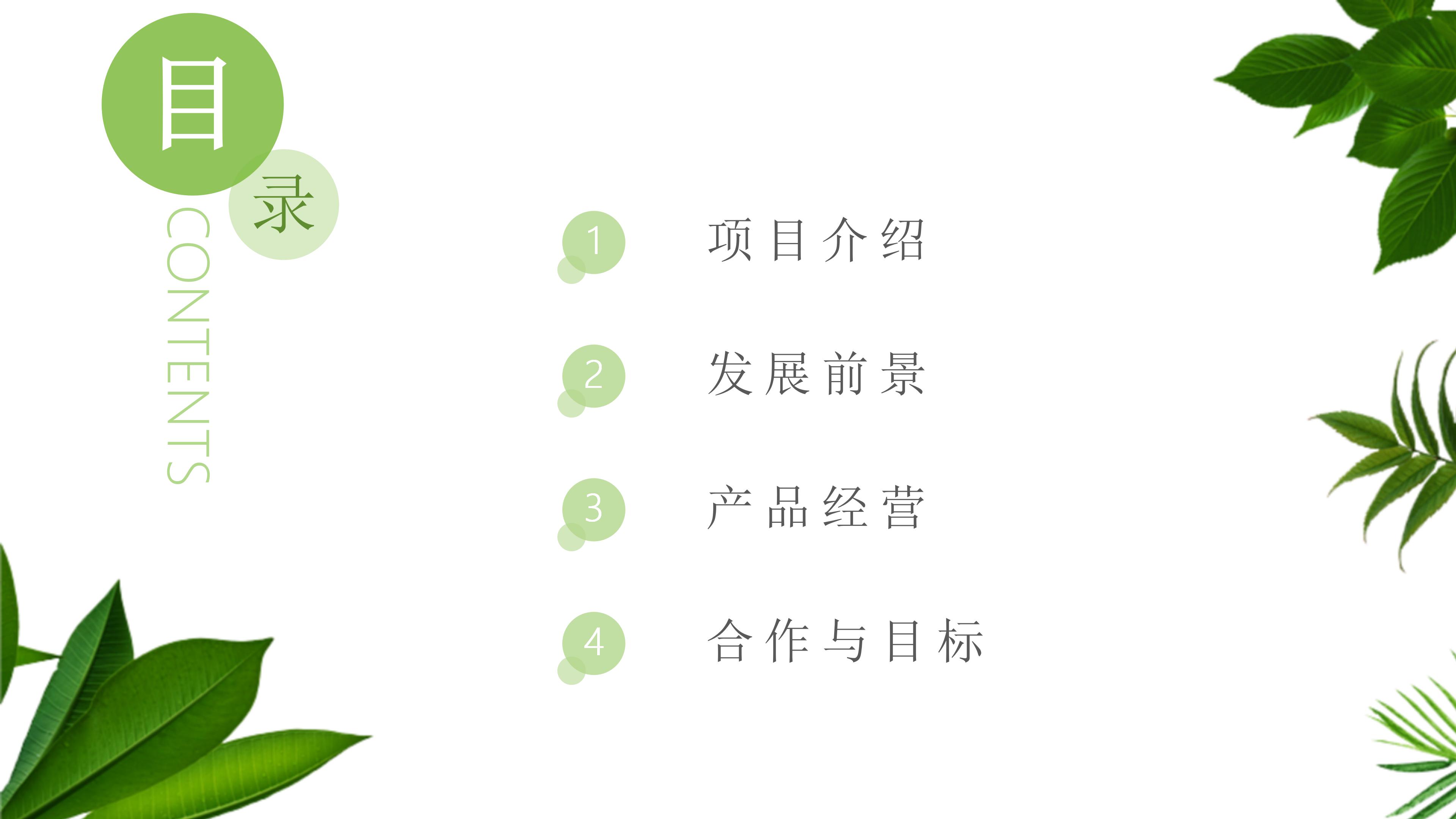 内部竞聘简历ppt模板