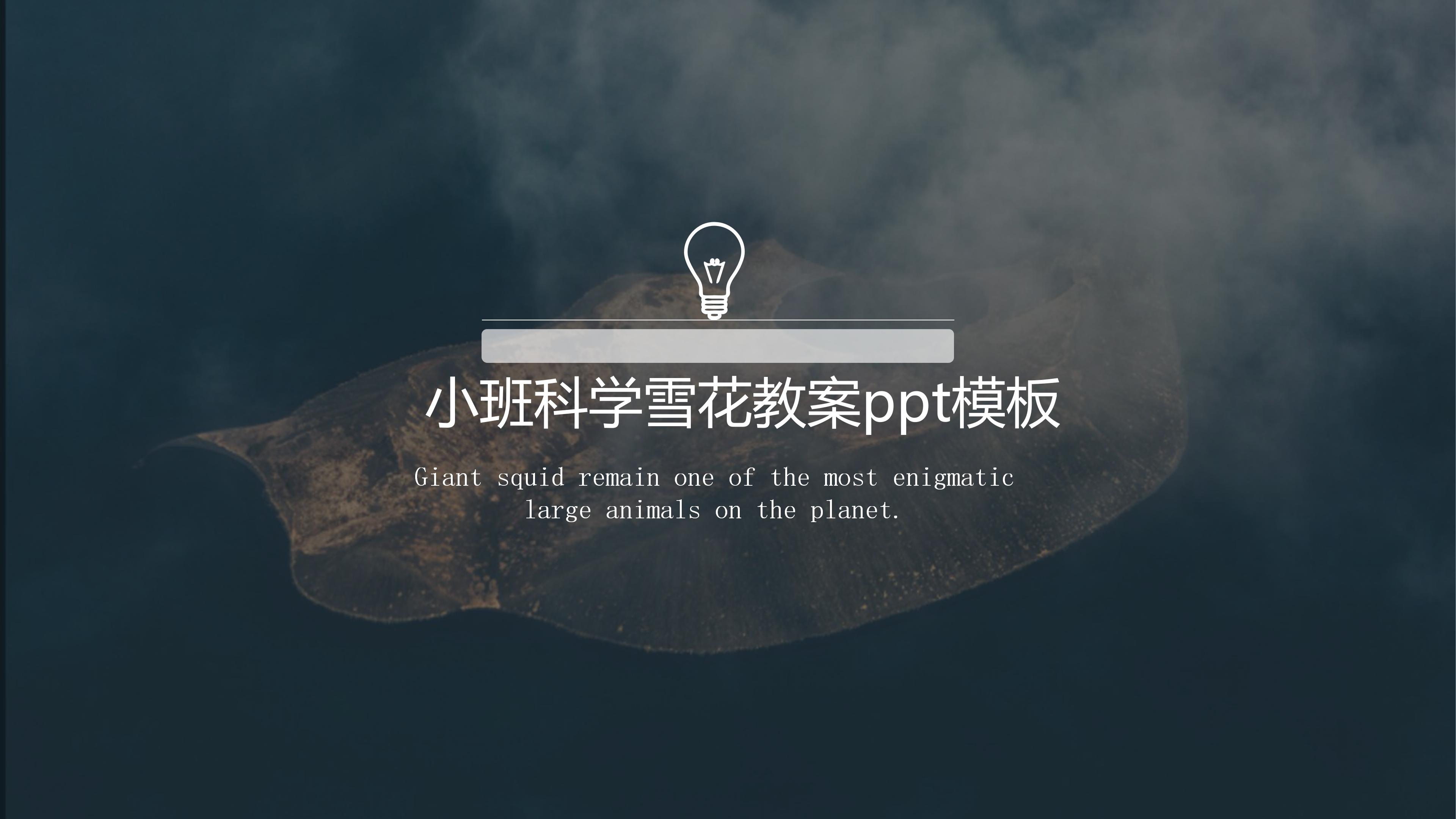 小班科学雪花教案ppt模板