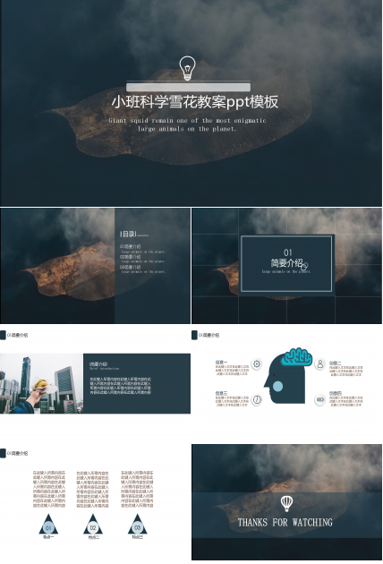 小班科学雪花教案ppt模板