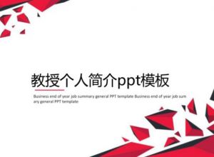 教授个人简介ppt模板