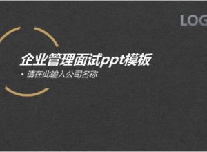 企业管理面试ppt模板