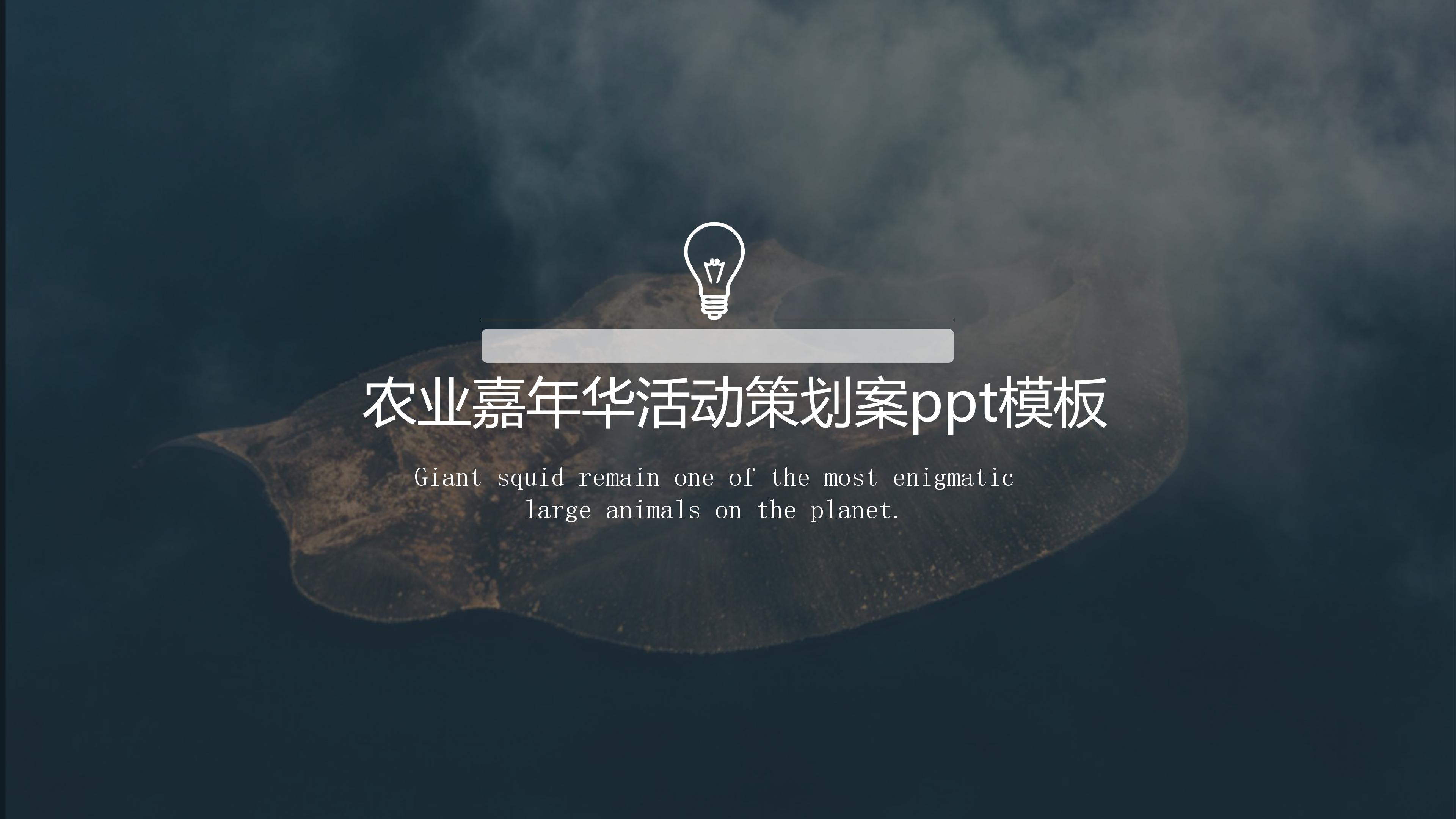 农业嘉年华活动策划案ppt模板