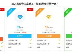 双十一狂欢活动 VIP会员充值大回馈