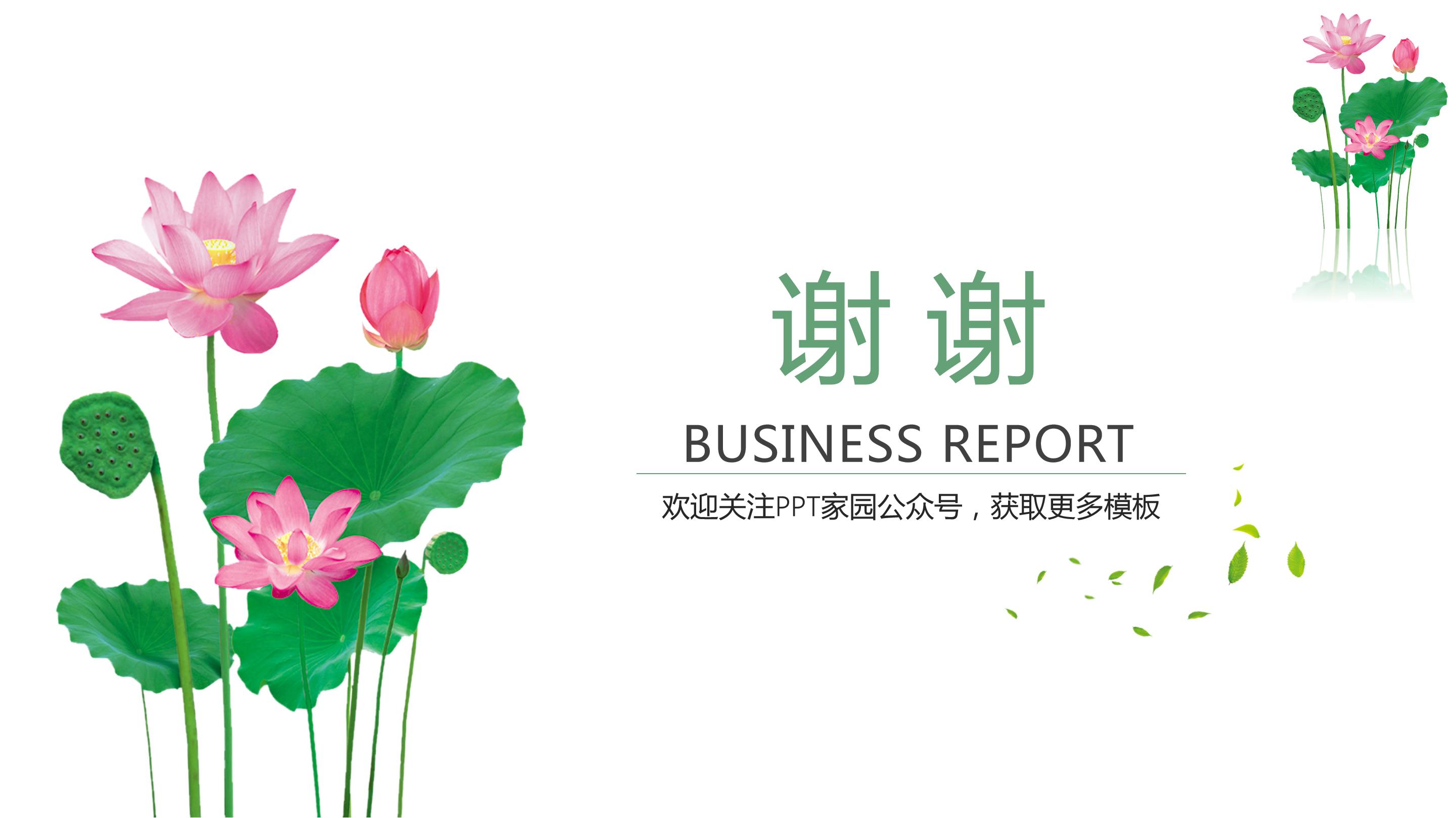 儿童美术课件荷花ppt课件 