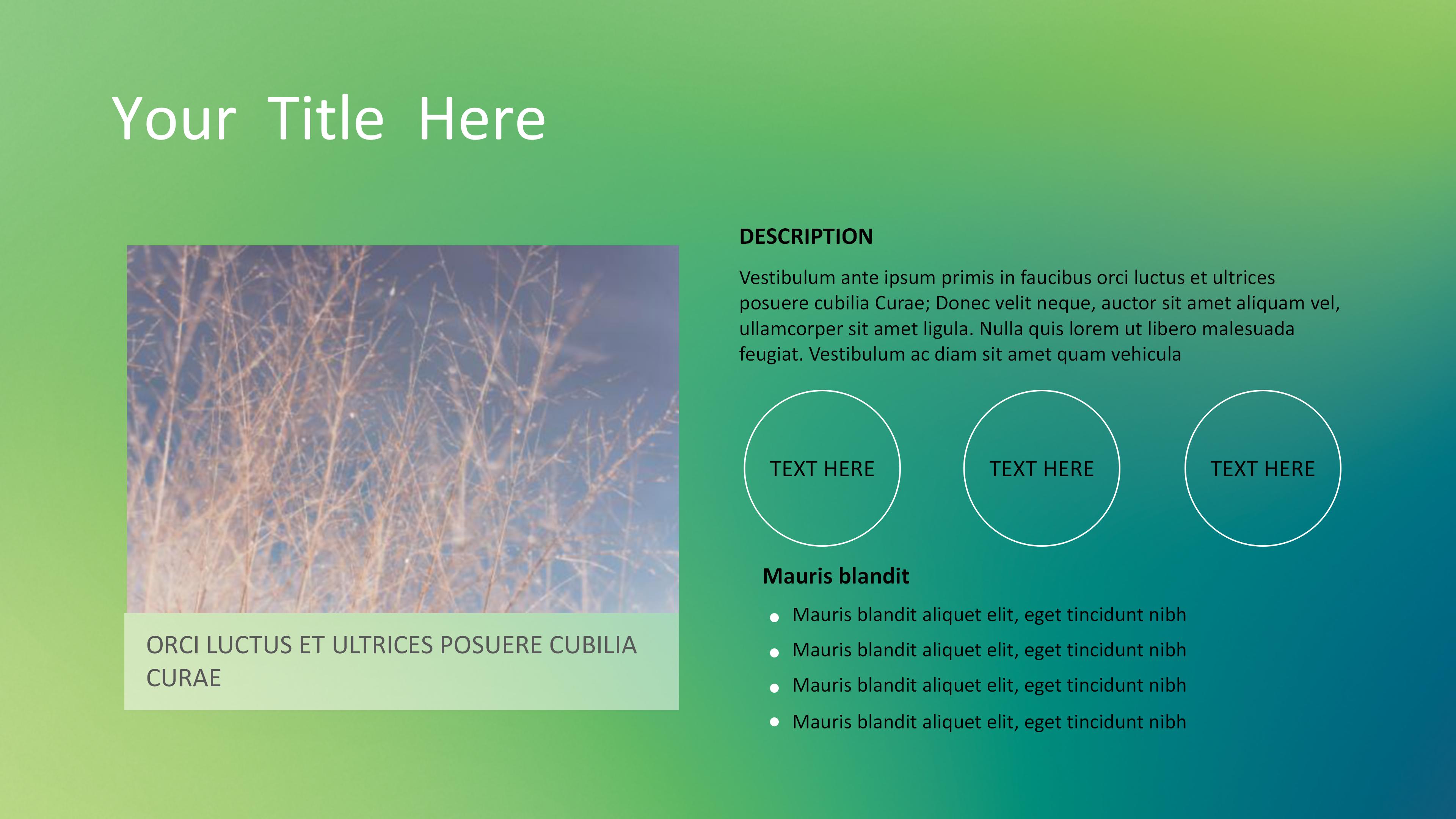 室内设计家装ppt模板