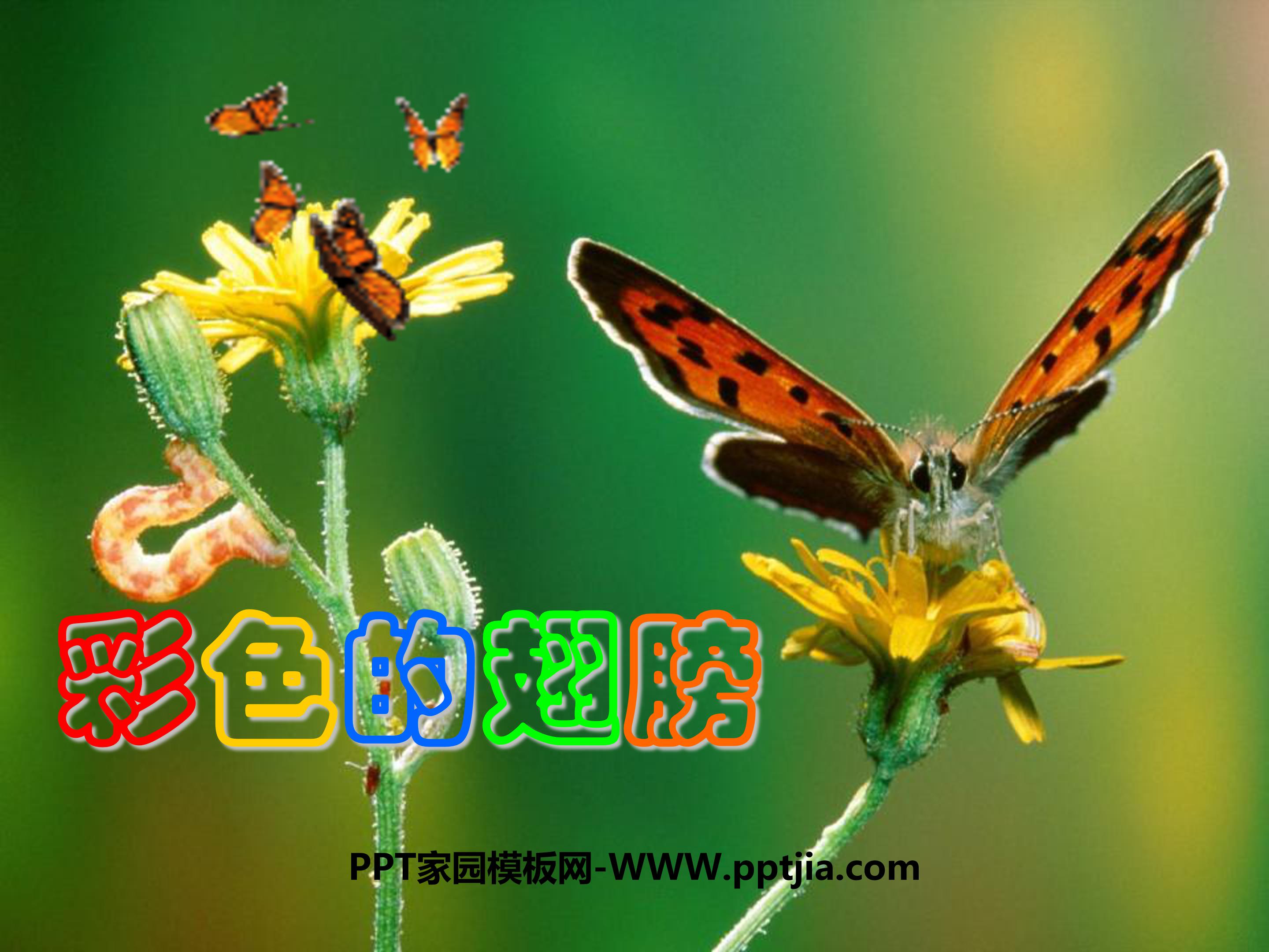 彩色的翅膀课件ppt模板