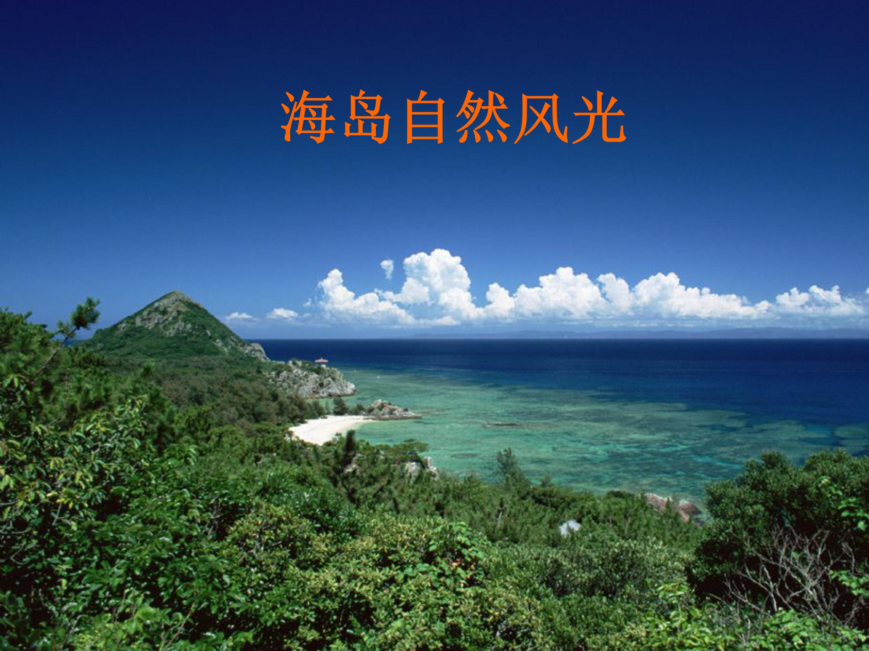 彩色的翅膀课件ppt模板