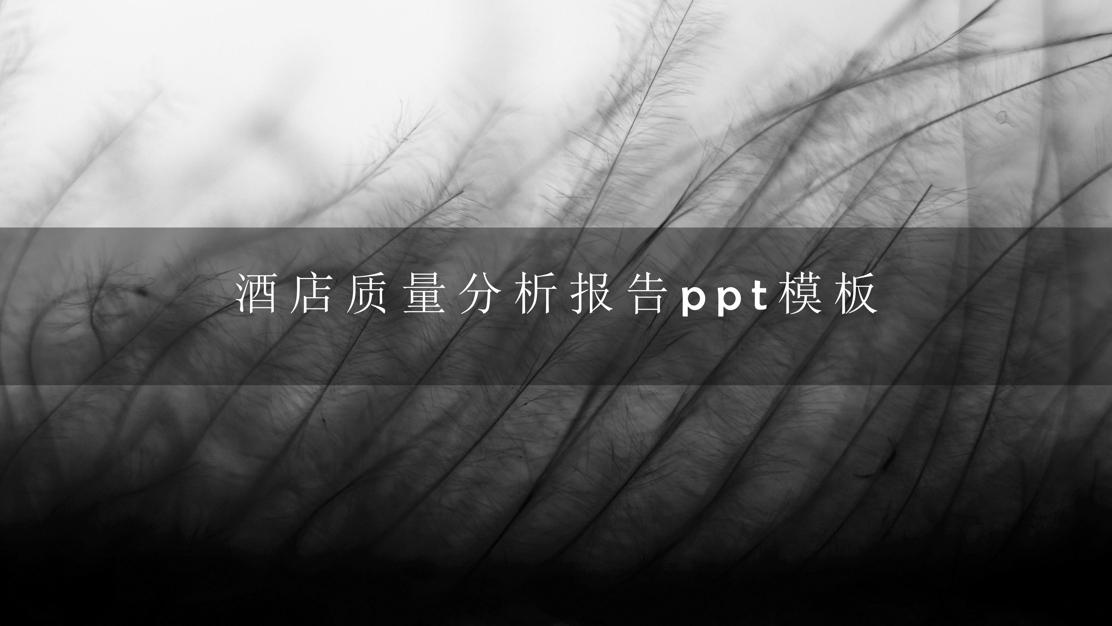 酒店质量分析报告ppt模板