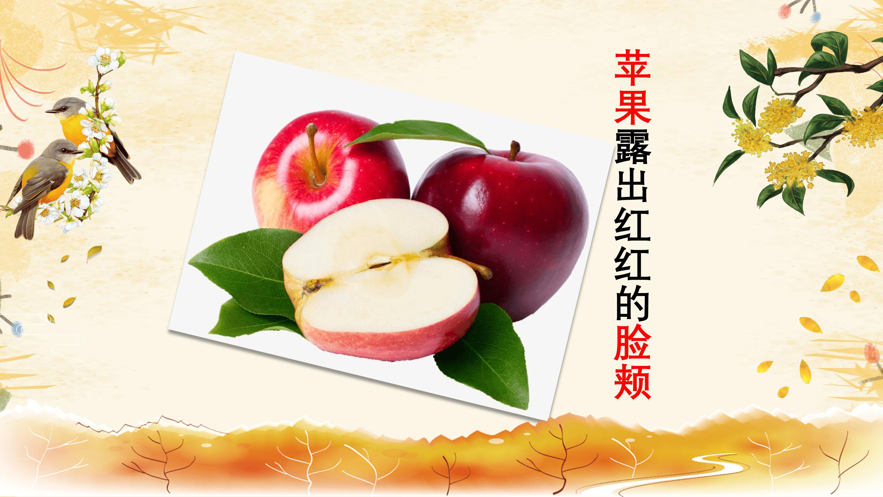 秋天的图画ppt 模板