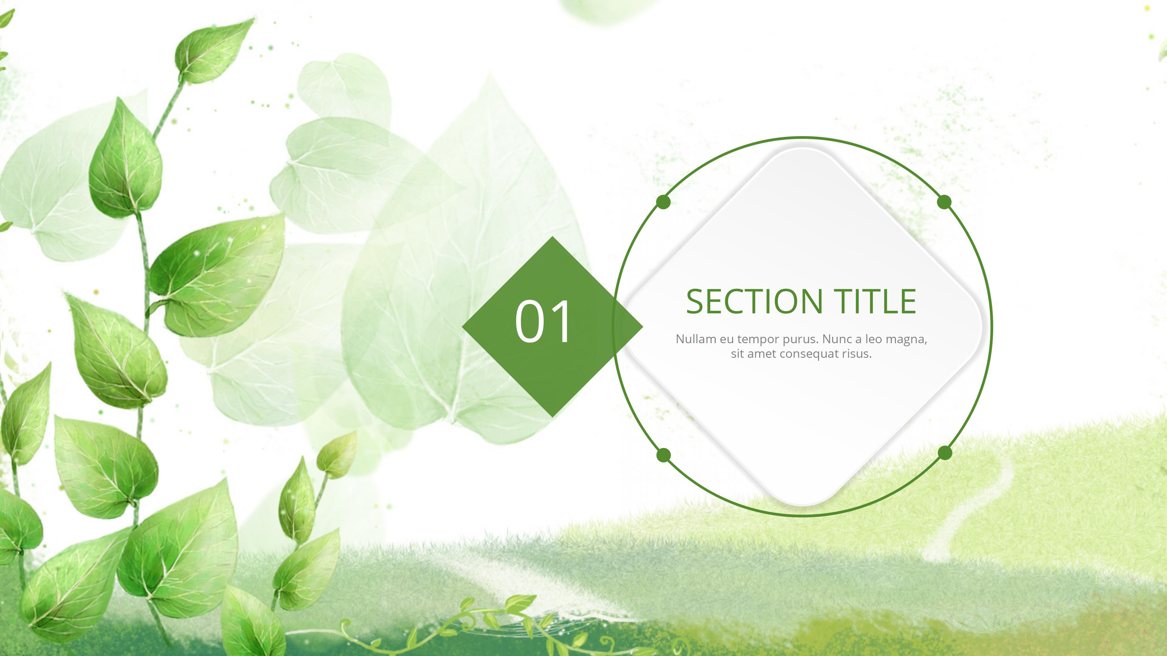 幼儿园招生动员大会ppt模板