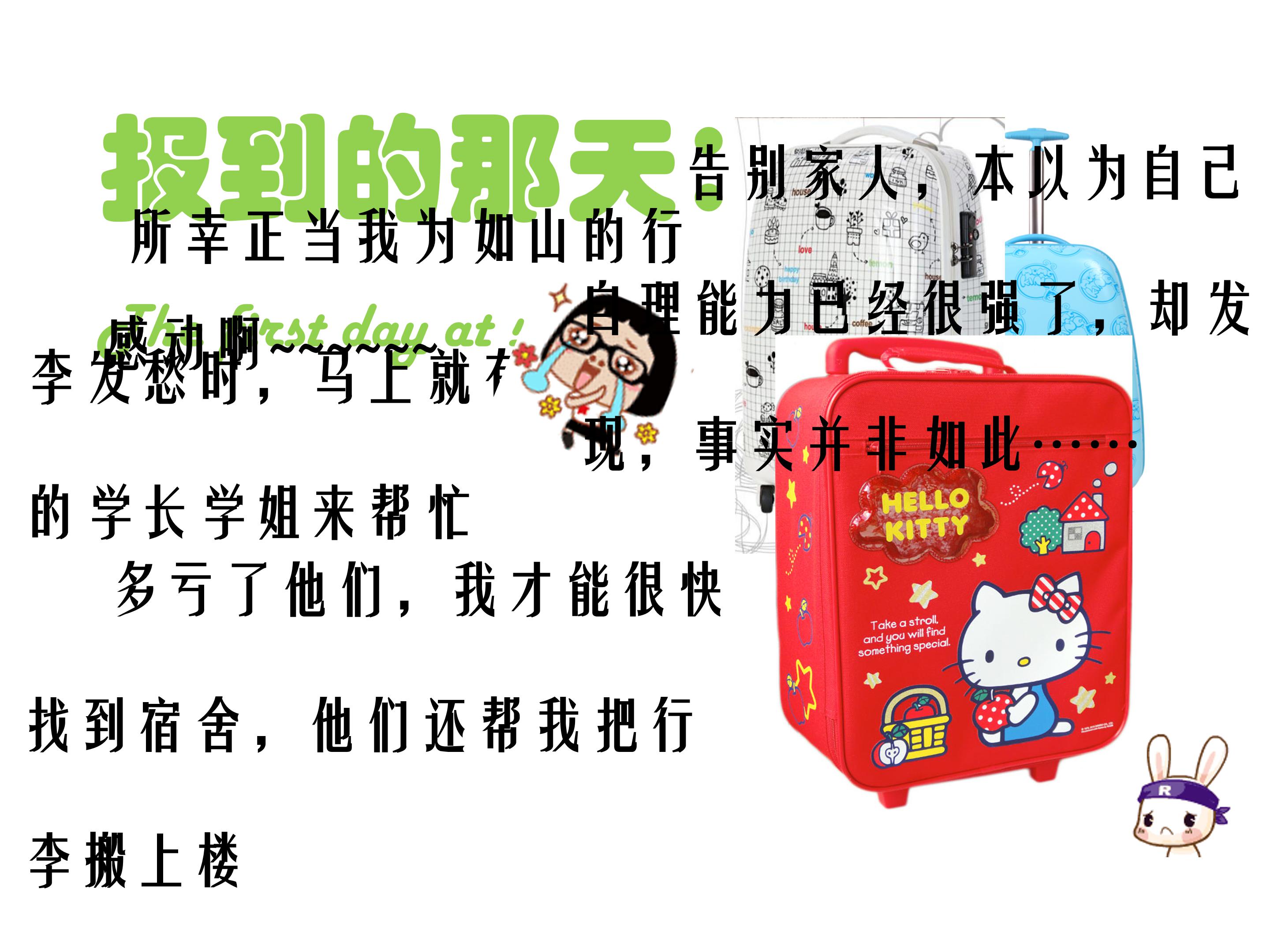 我的大学生活演讲稿ppt 模板