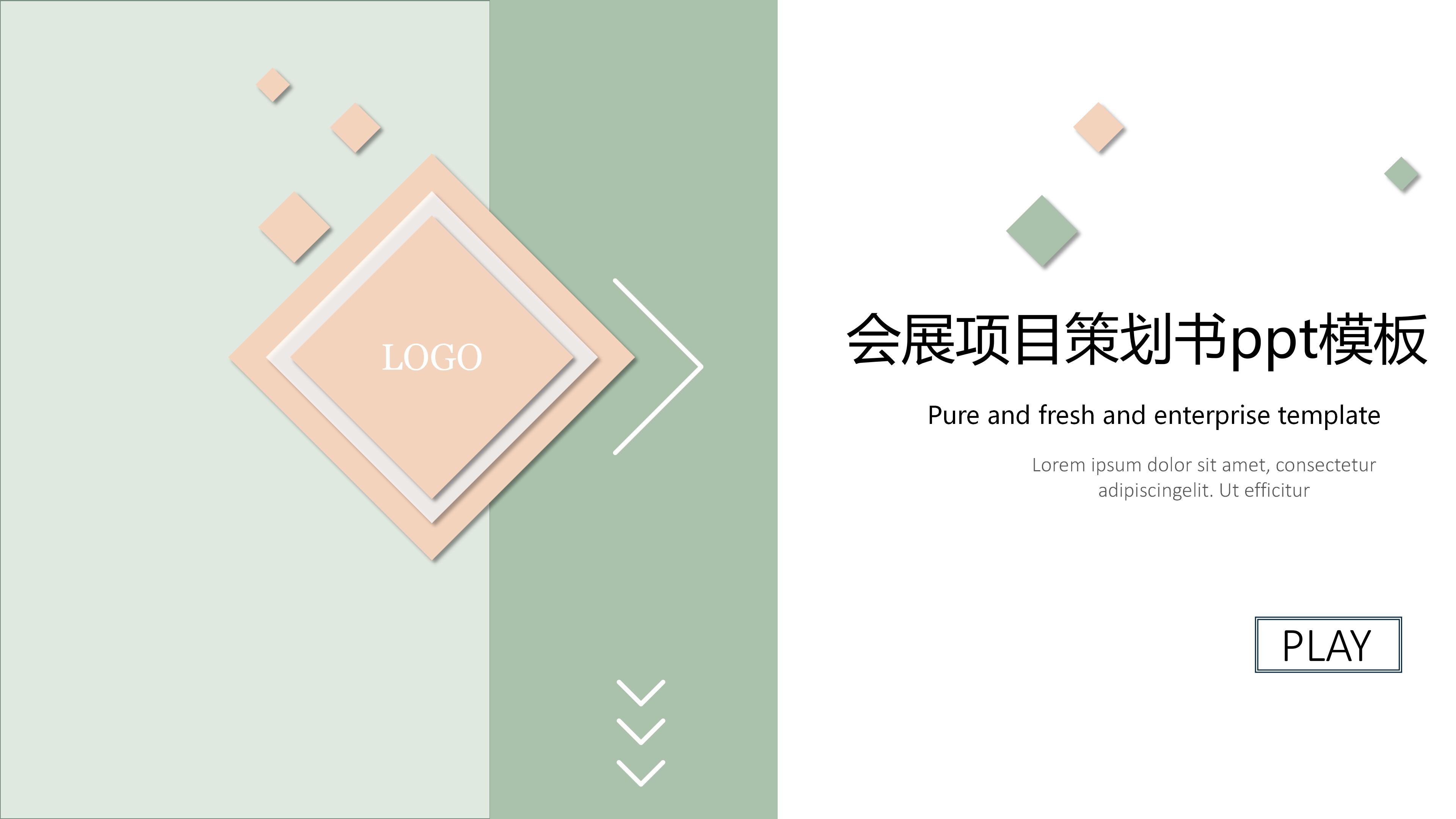 会展项目策划书ppt模板