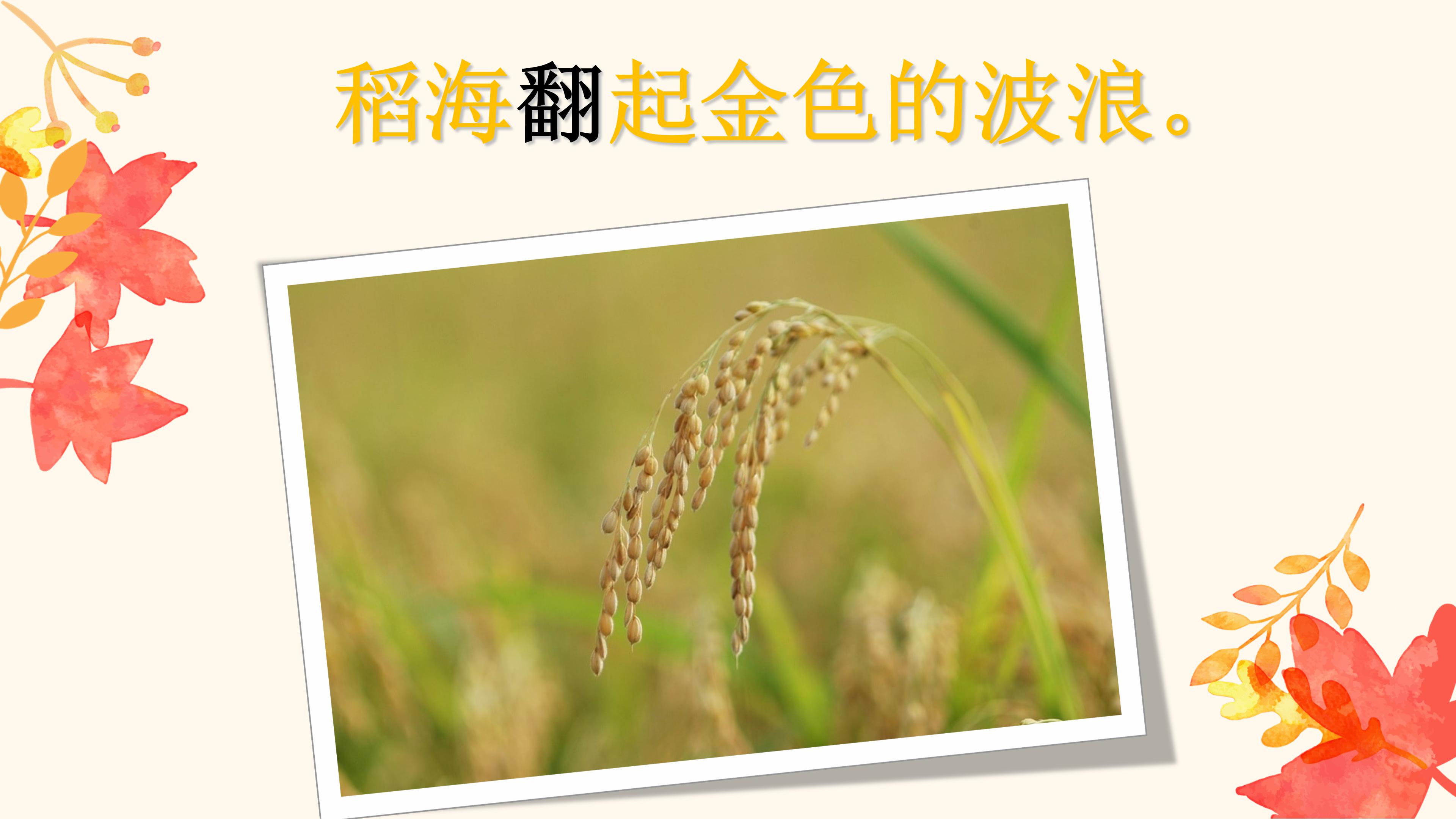 小学秋天的图画ppt课件模板