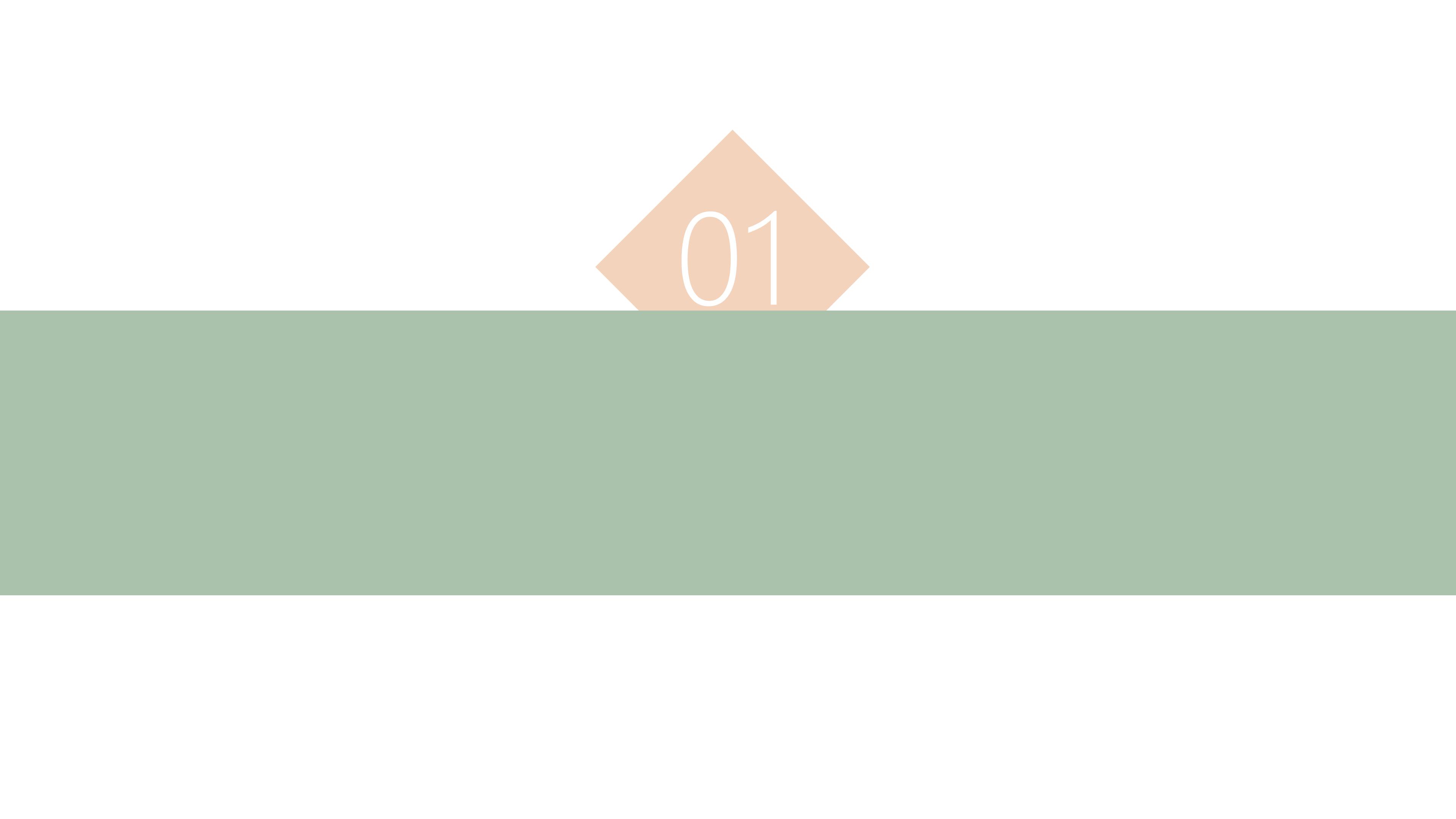 会展项目策划书ppt模板