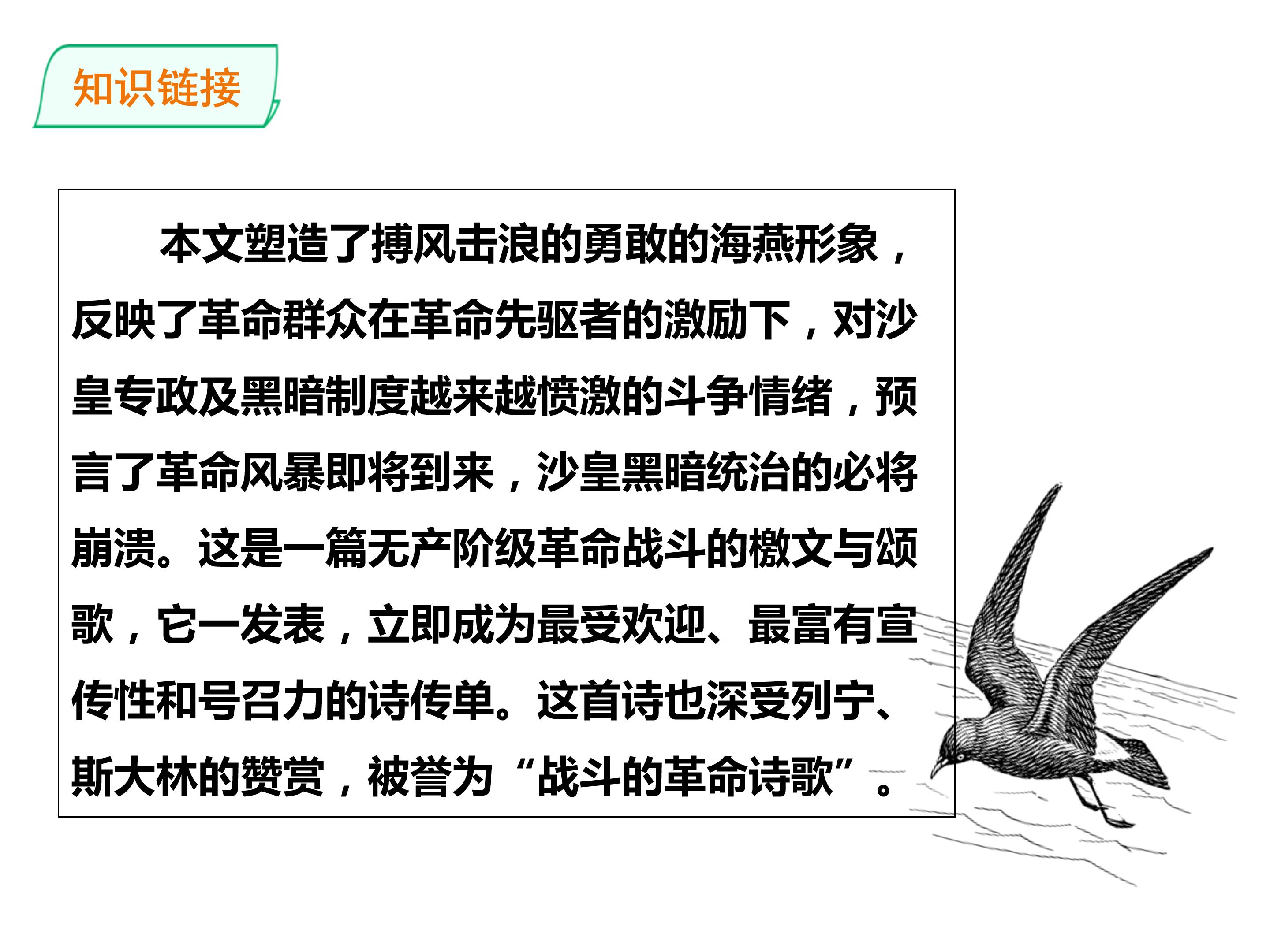 海燕课件ppt模板