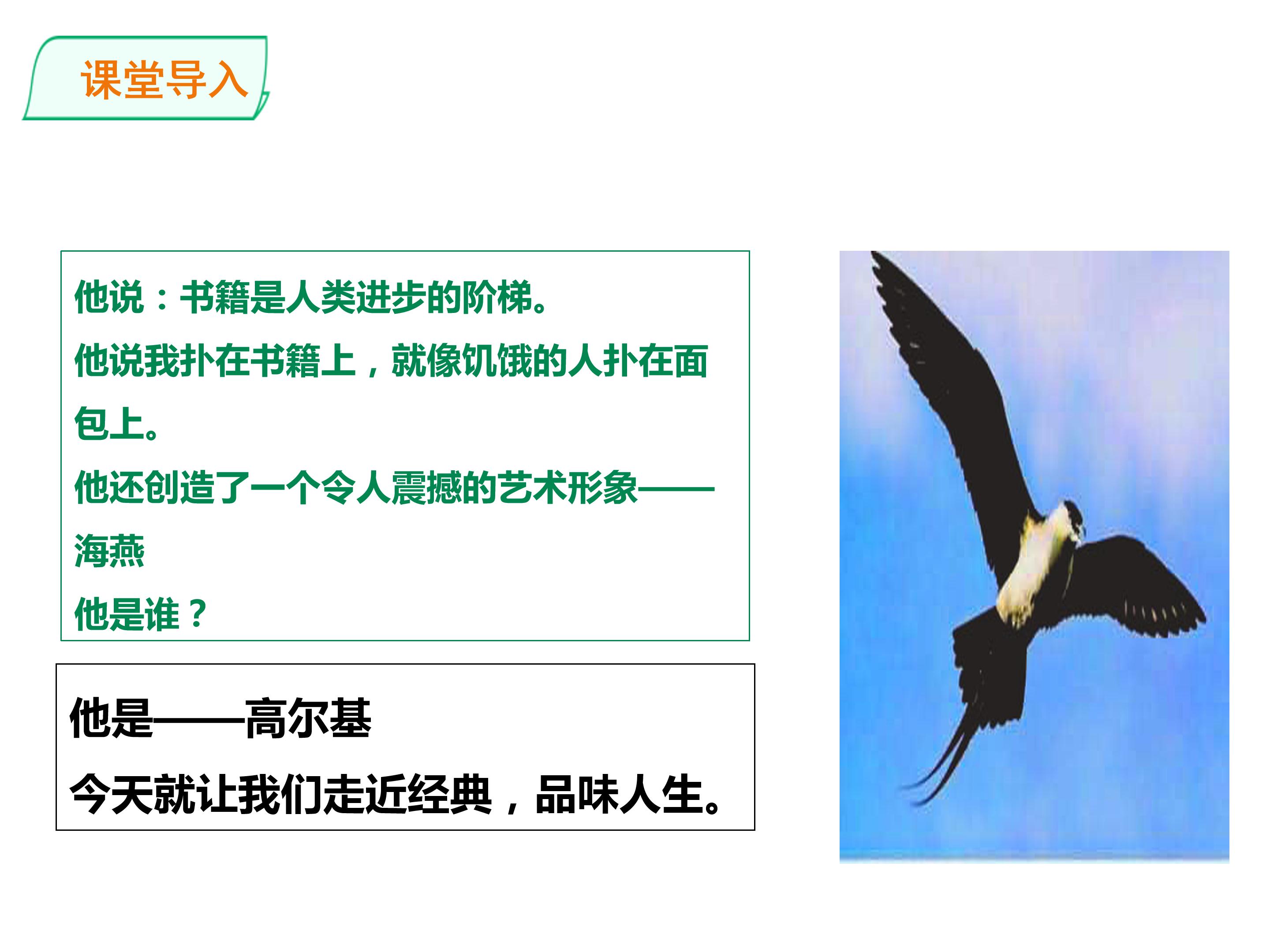 海燕课件ppt模板