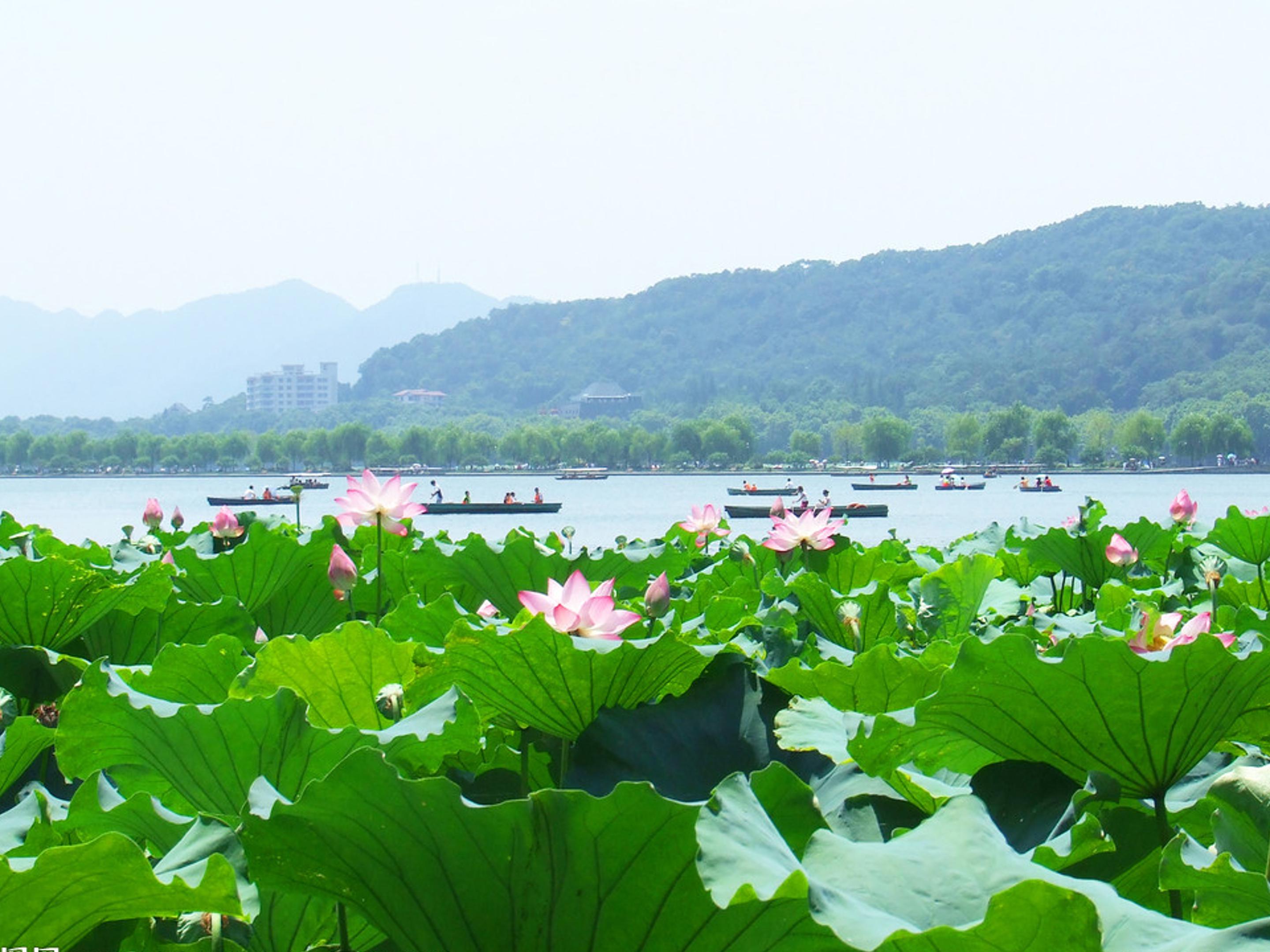 饮湖上初晴后雨ppt模板