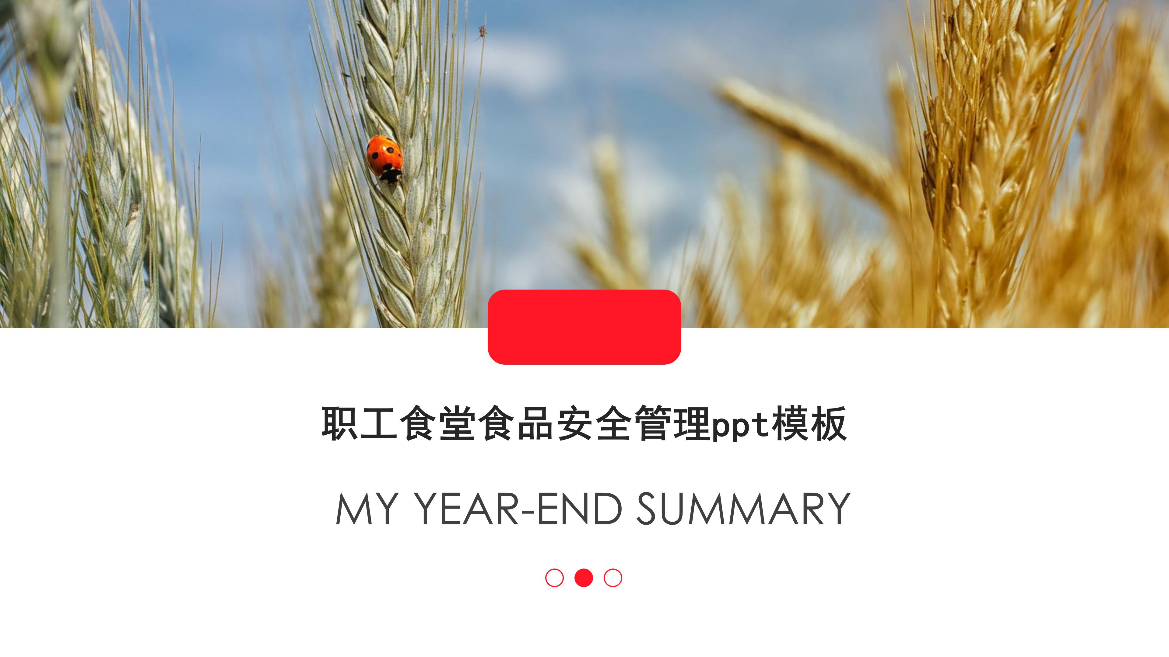 职工食堂食品安全管理ppt模板