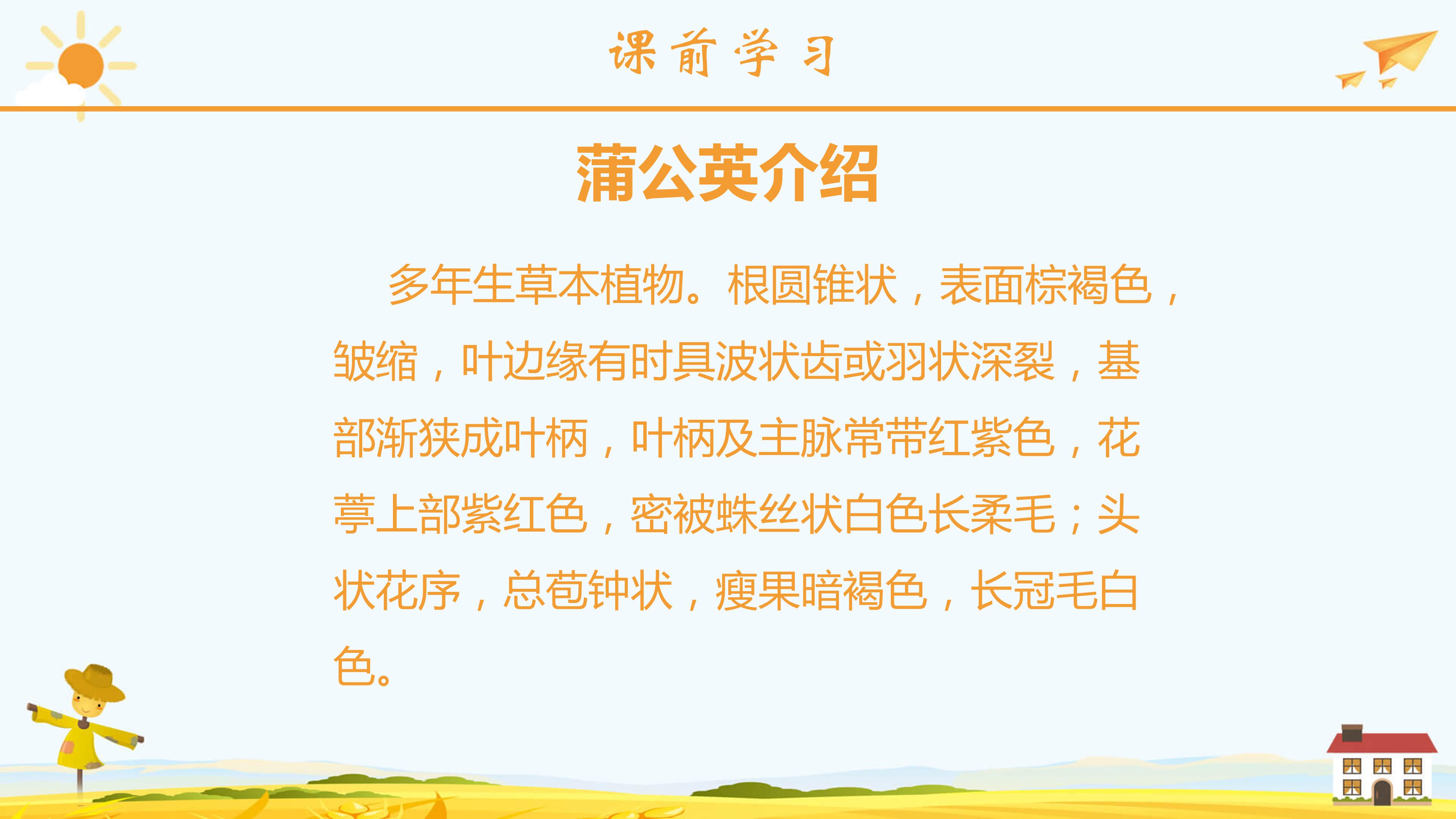 金色的草地ppt模板