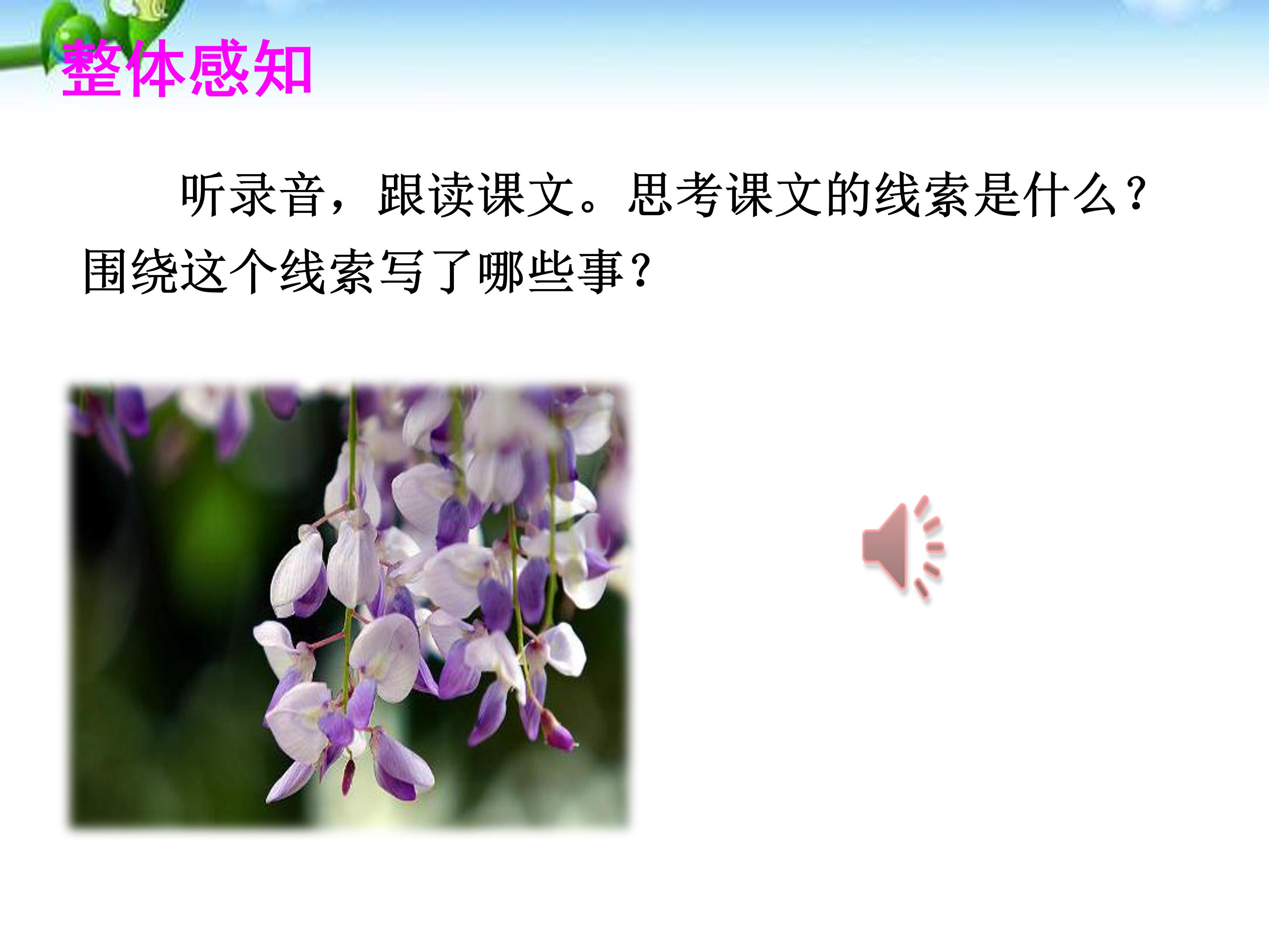 紫藤萝瀑布教案ppt模板