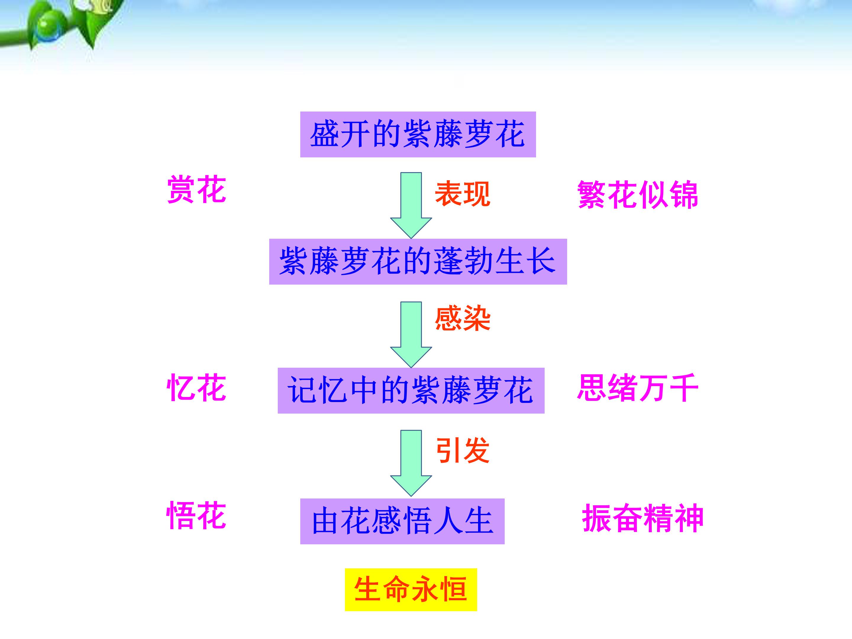 紫藤萝瀑布教案ppt模板
