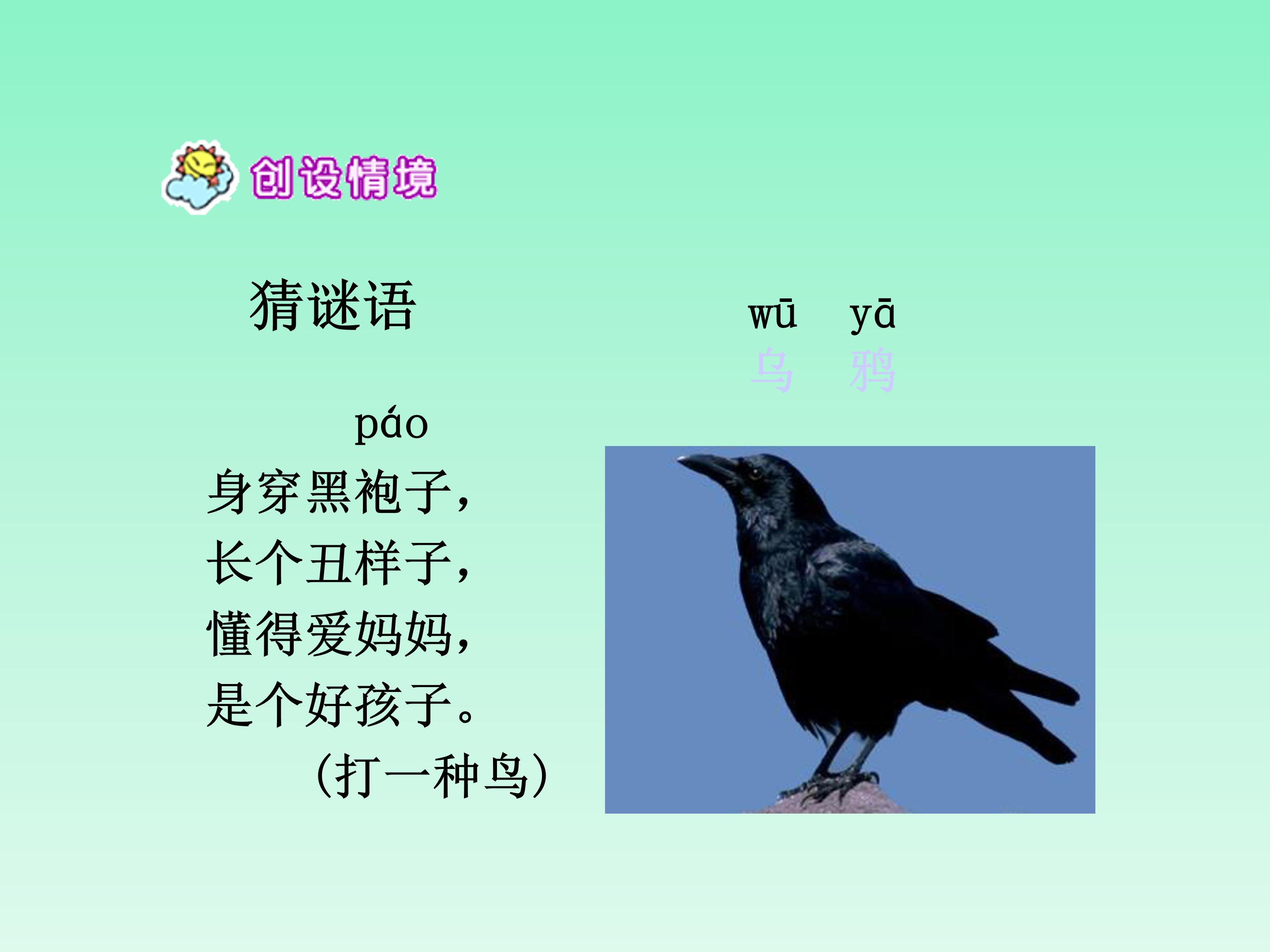 幼儿园乌鸦喝水ppt模板
