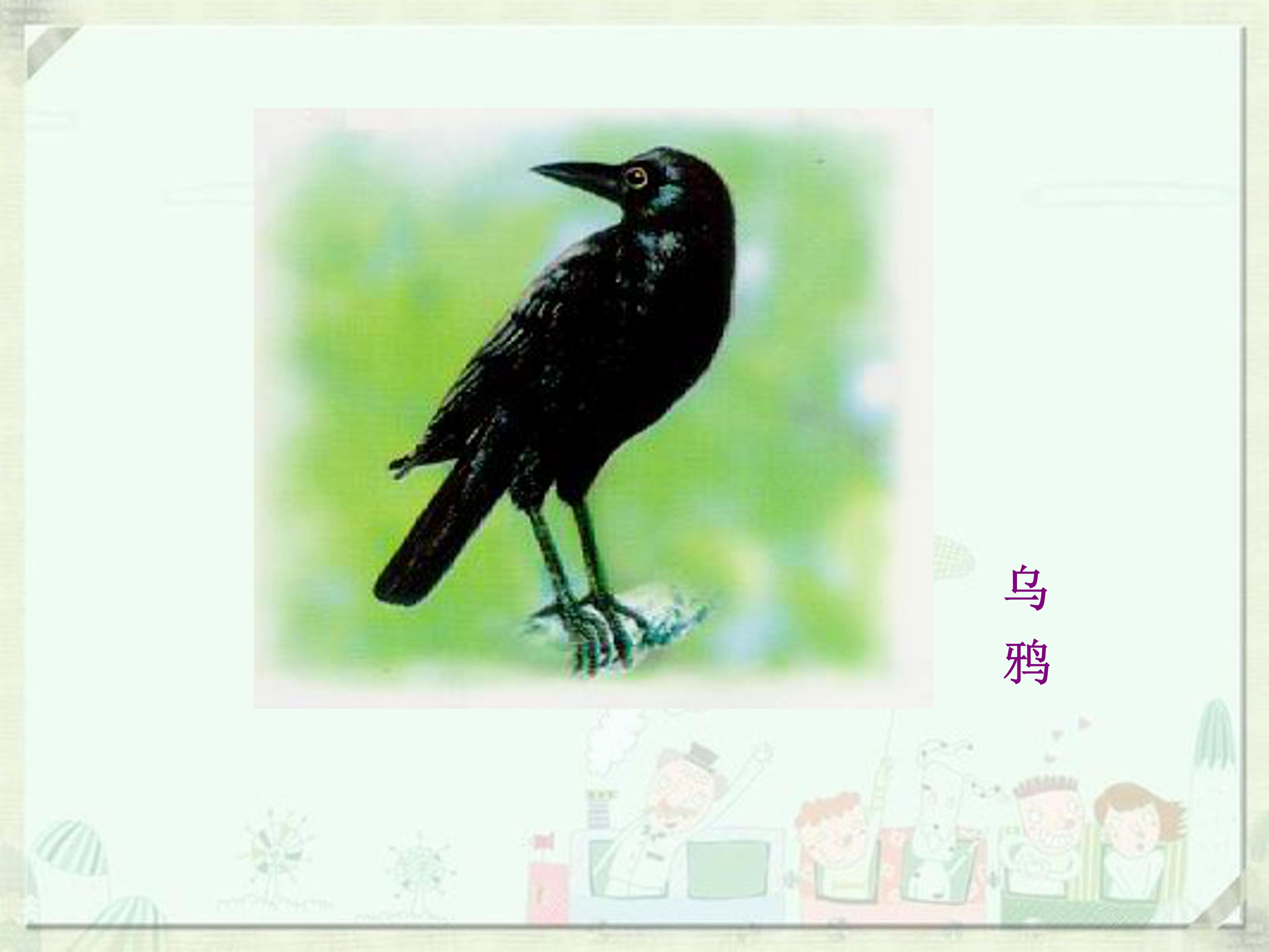 幼儿园乌鸦喝水课件ppt模板