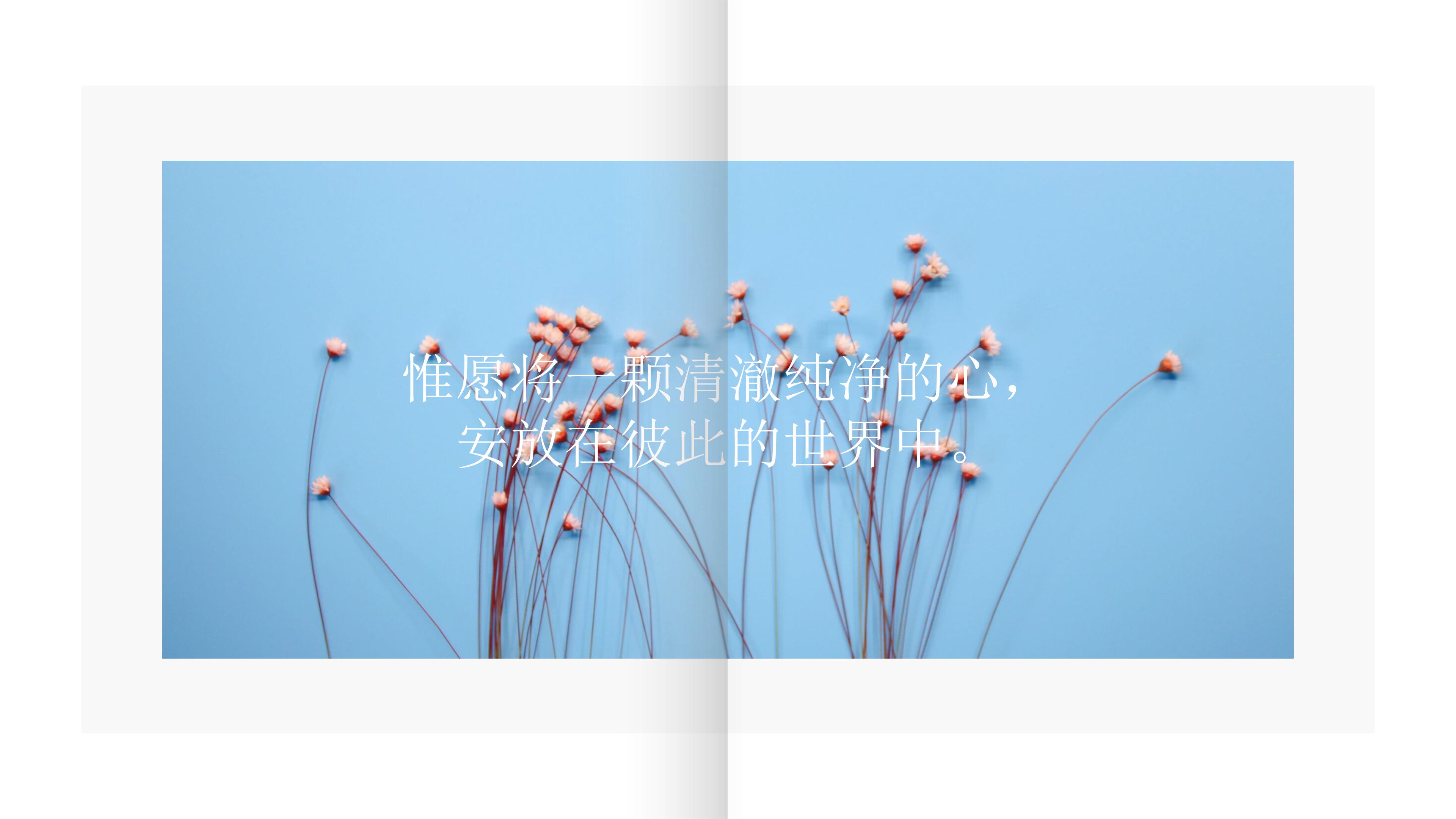 好的动画效果ppt模板