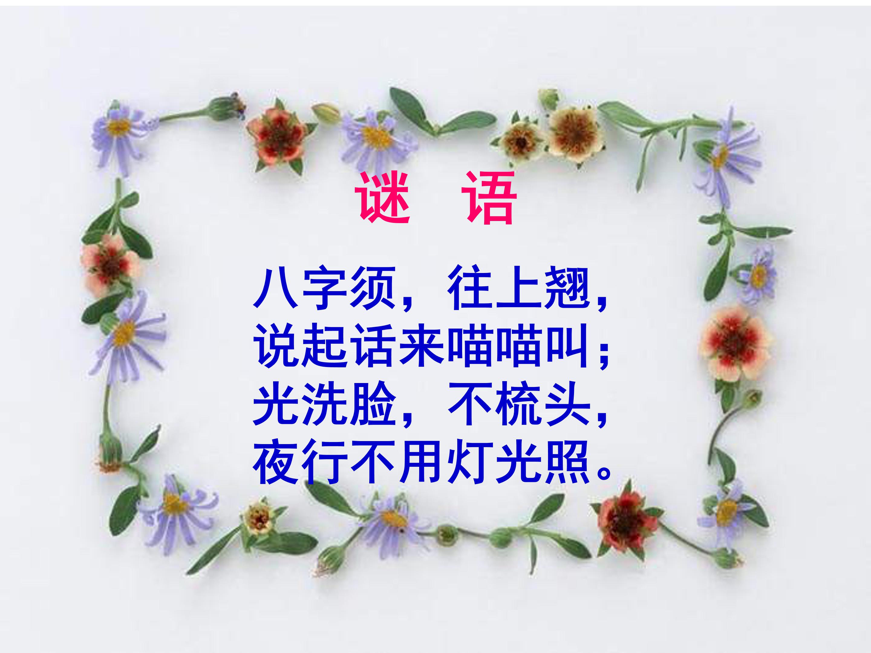 小猫钓鱼ppt模板