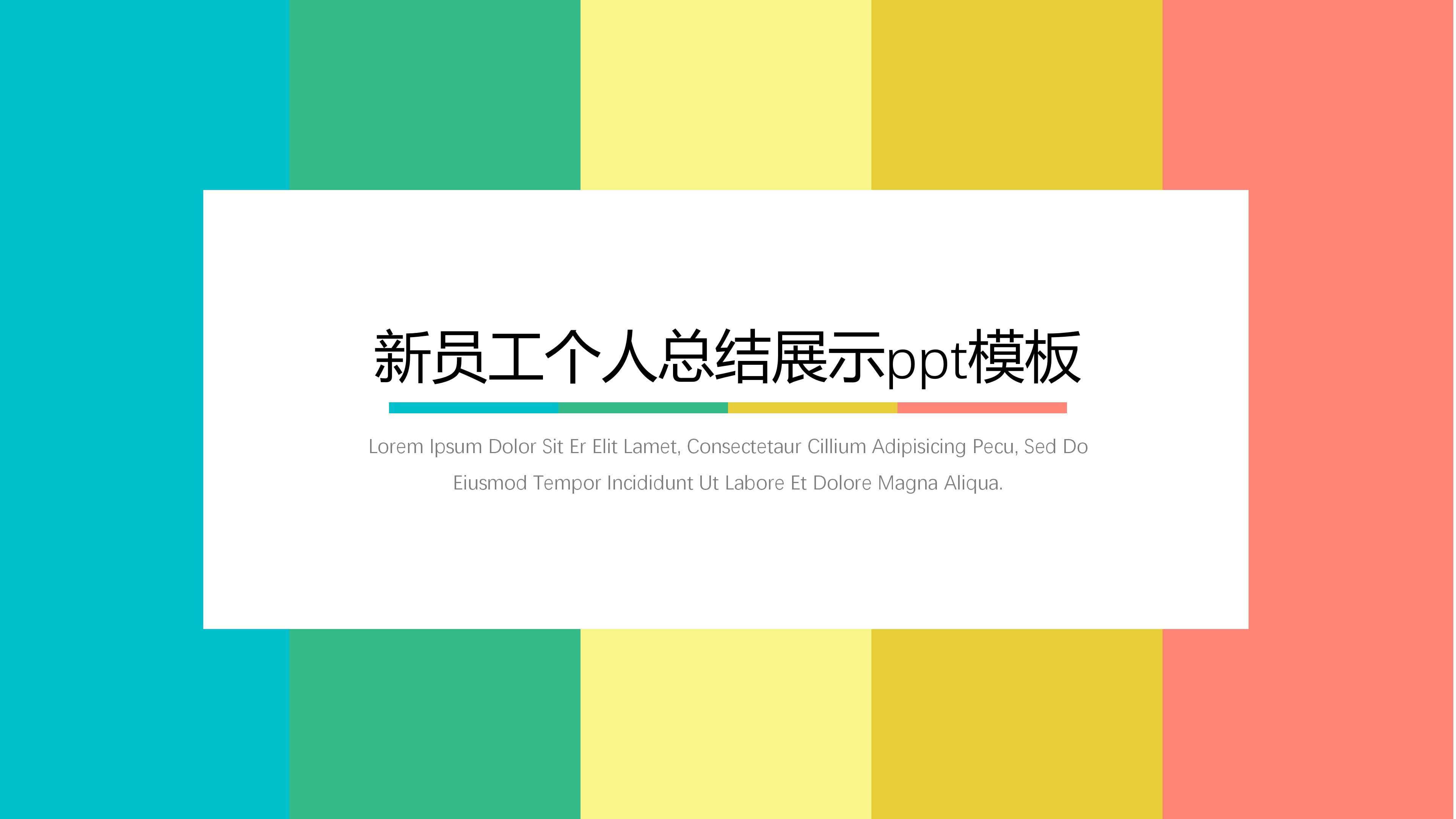 新员工个人总结展示ppt模板