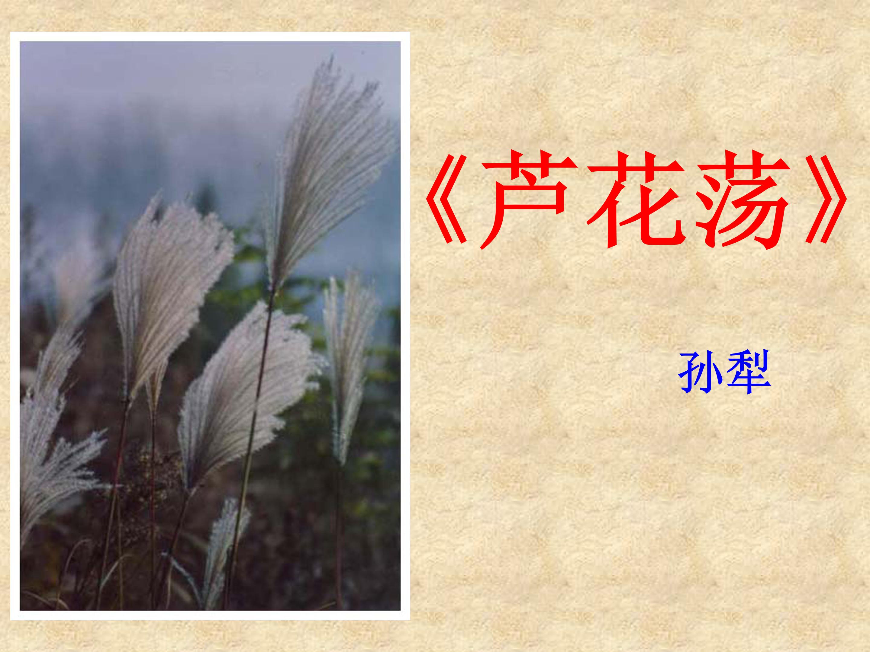 芦花荡ppt课件模板