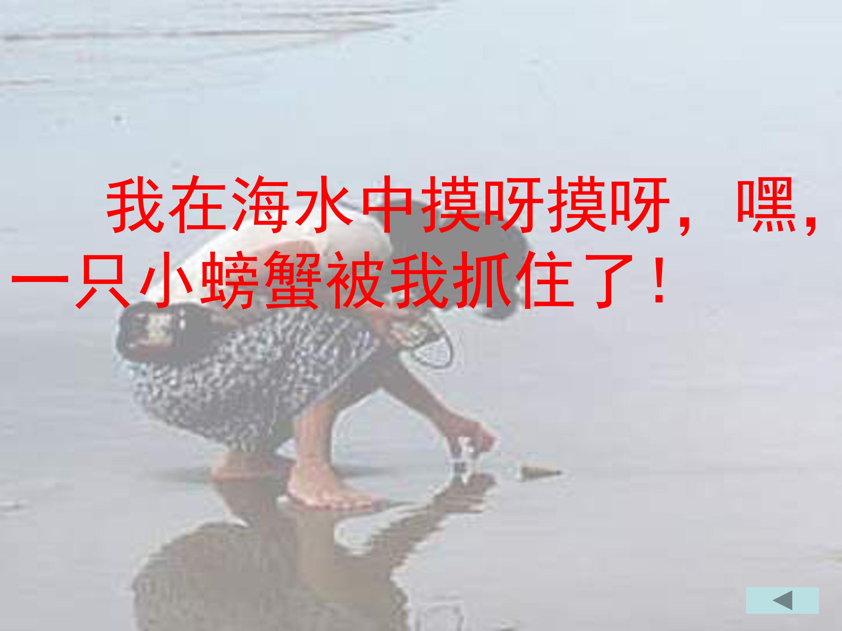 赶海ppt模板