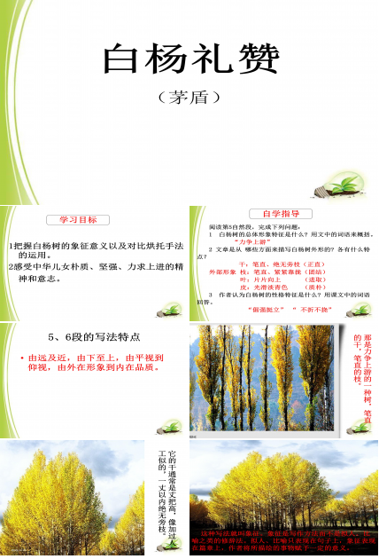 白杨礼赞公开课ppt模板