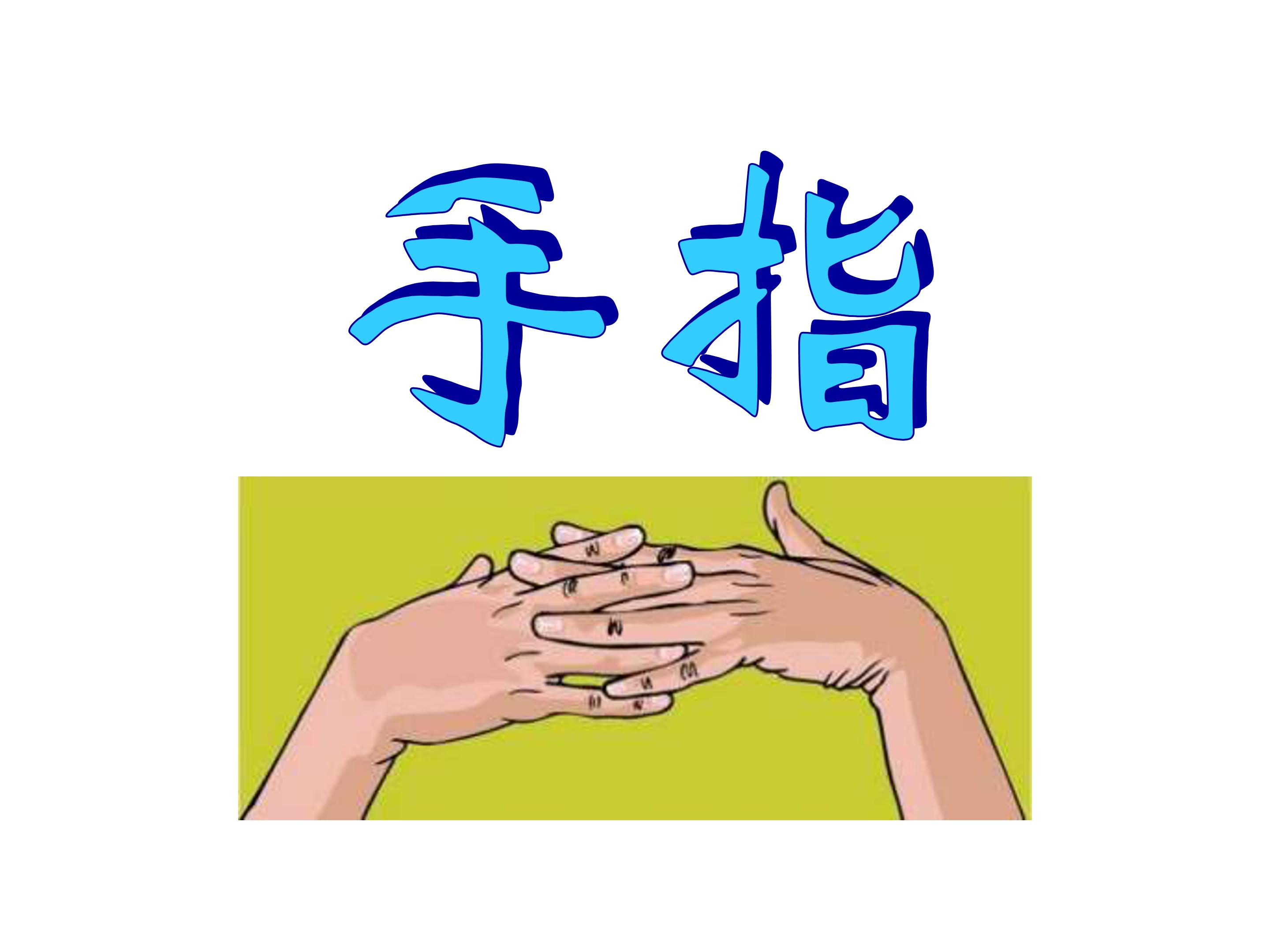 手指公开课课件ppt模板