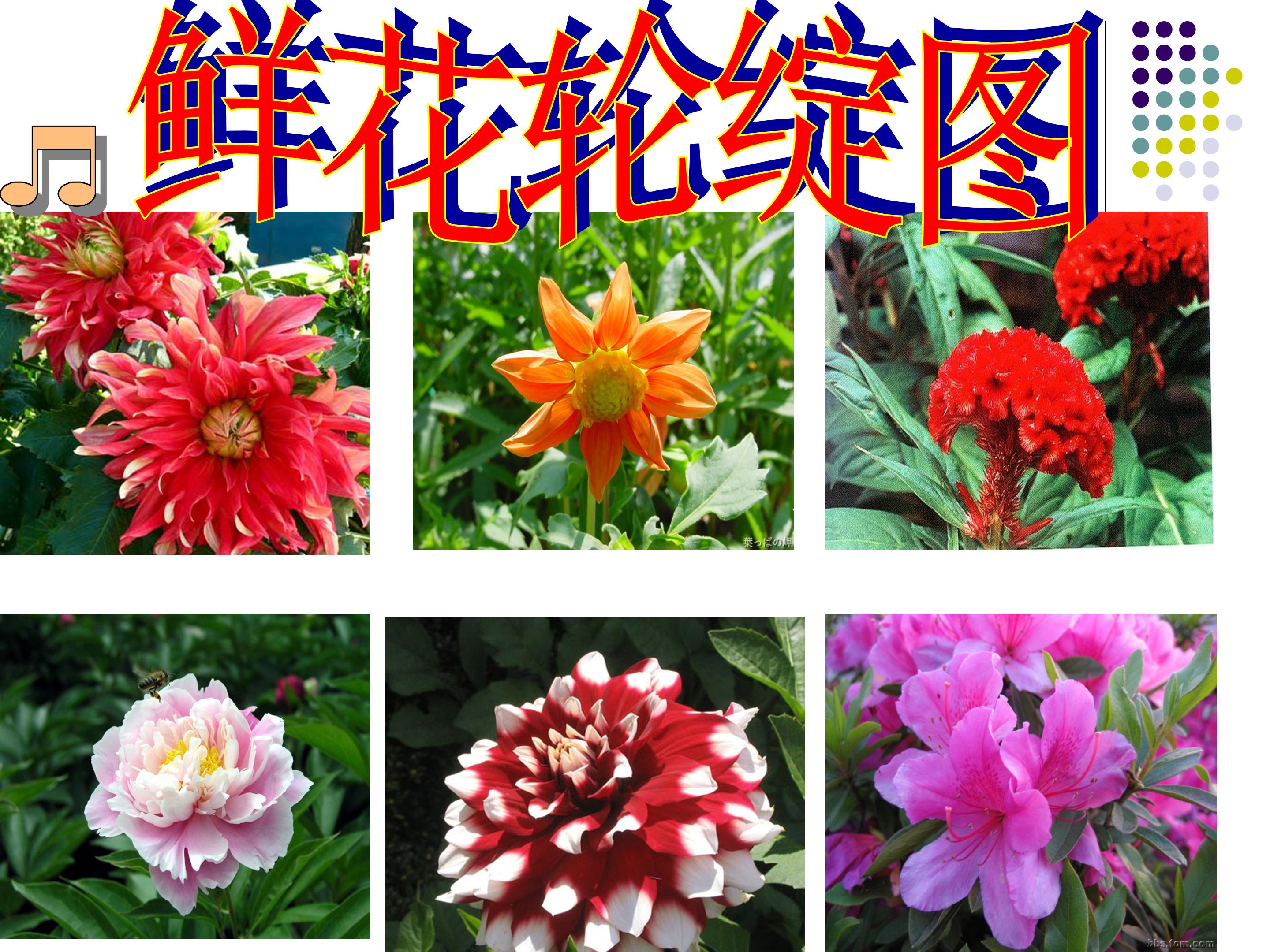 乡下人家ppt课件公开课