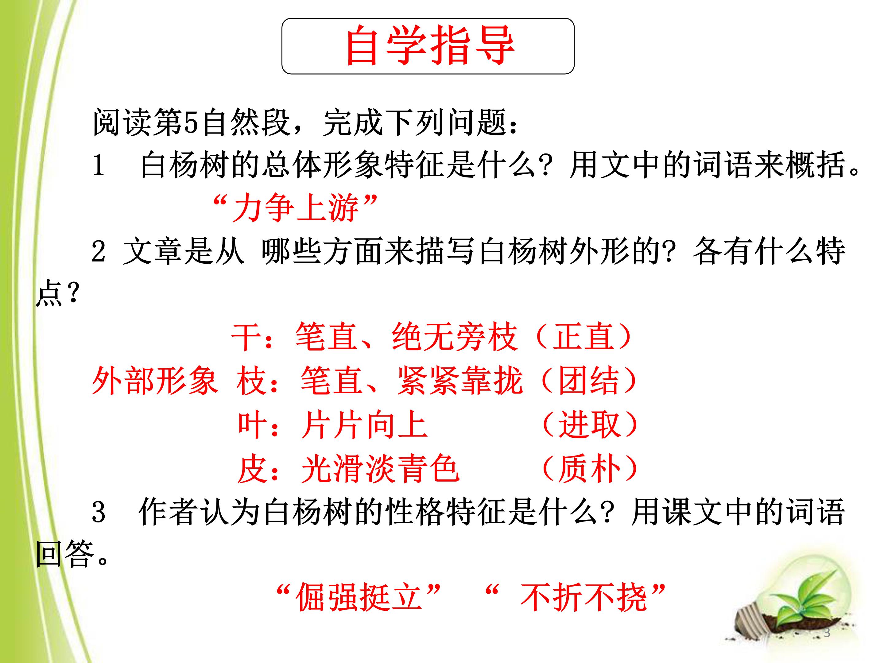 白杨礼赞公开课ppt模板