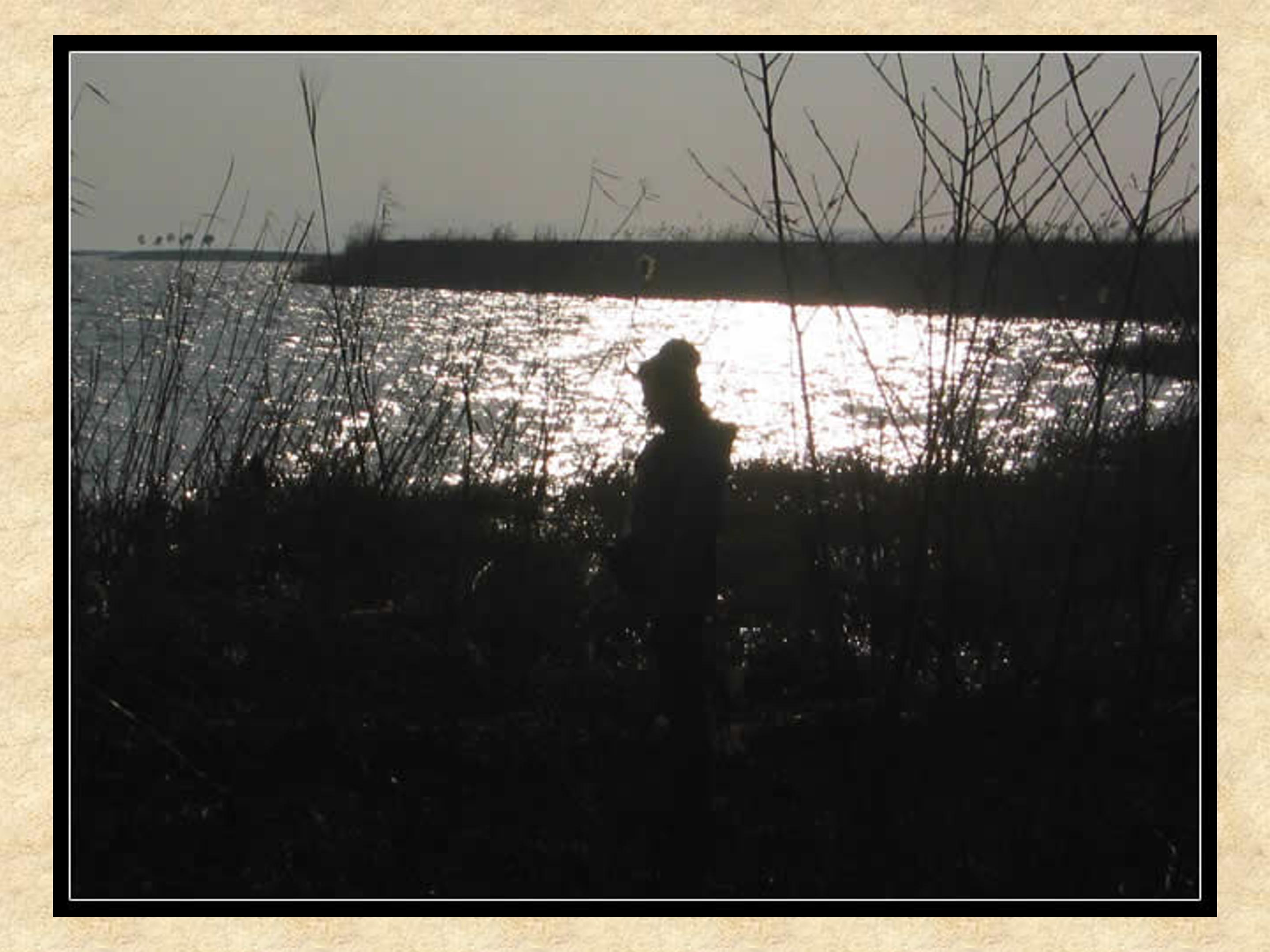 芦花荡ppt课件模板