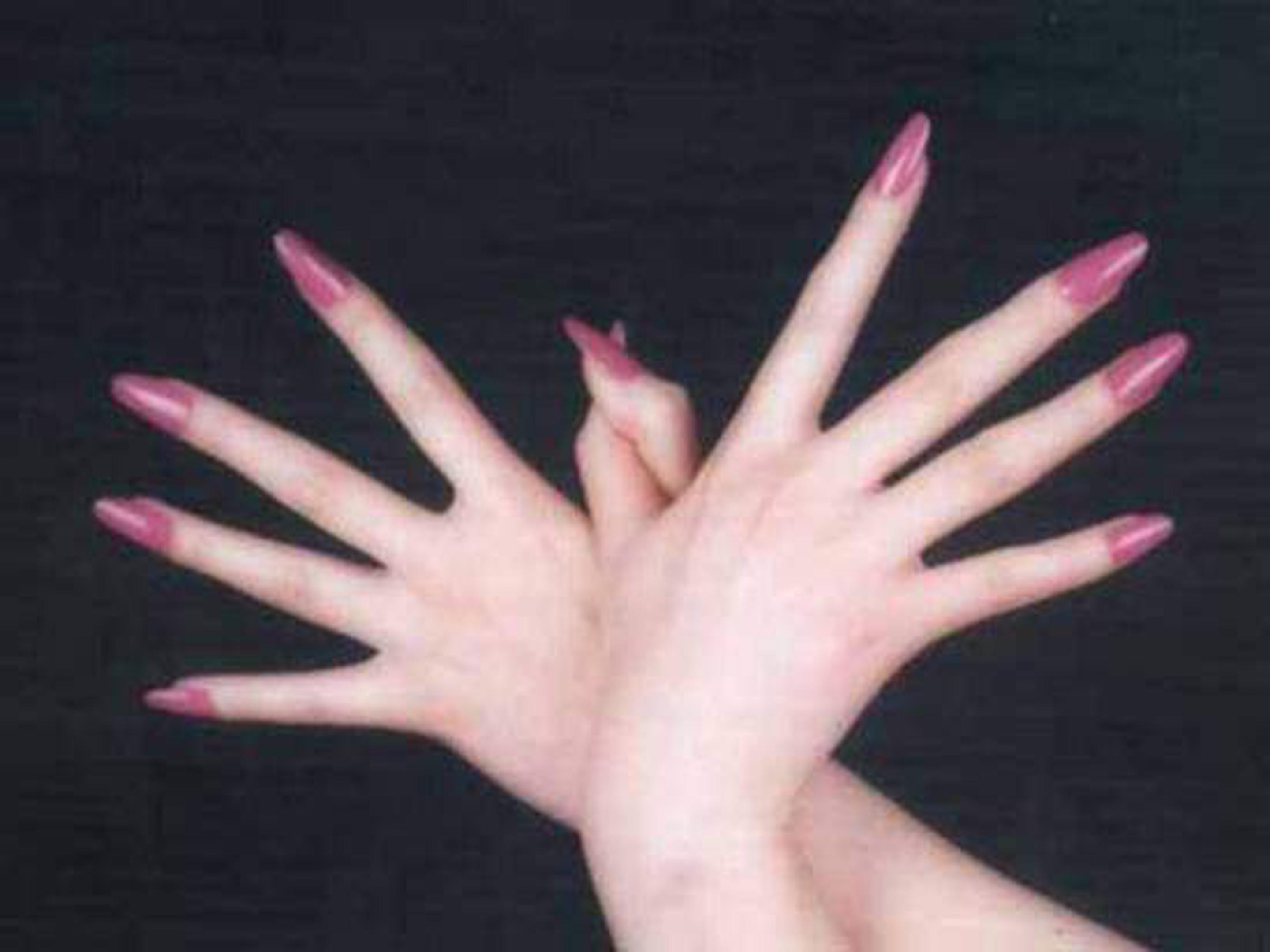 手指公开课课件ppt模板