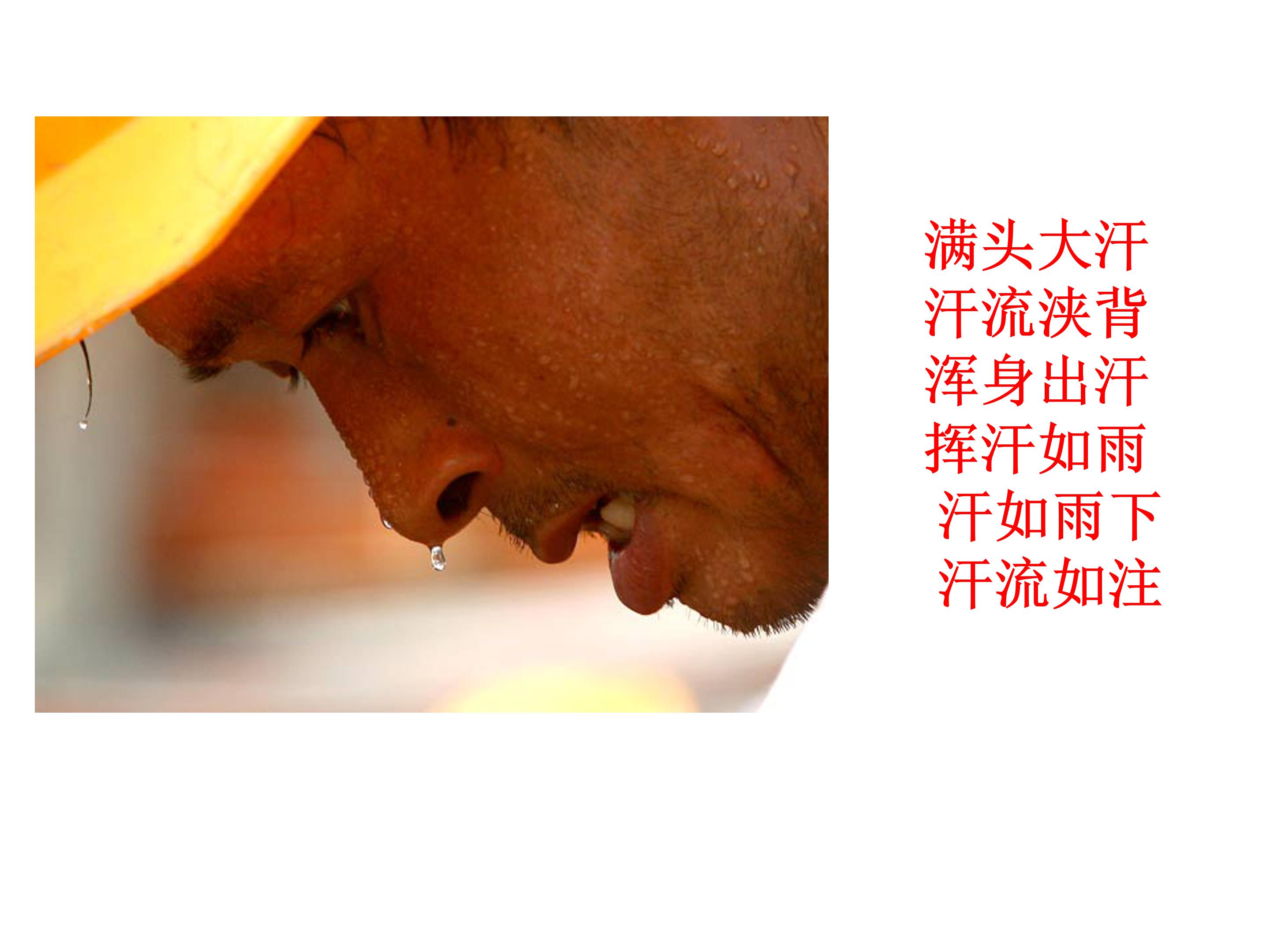 蚂蚁和蝈蝈课件ppt模板 
