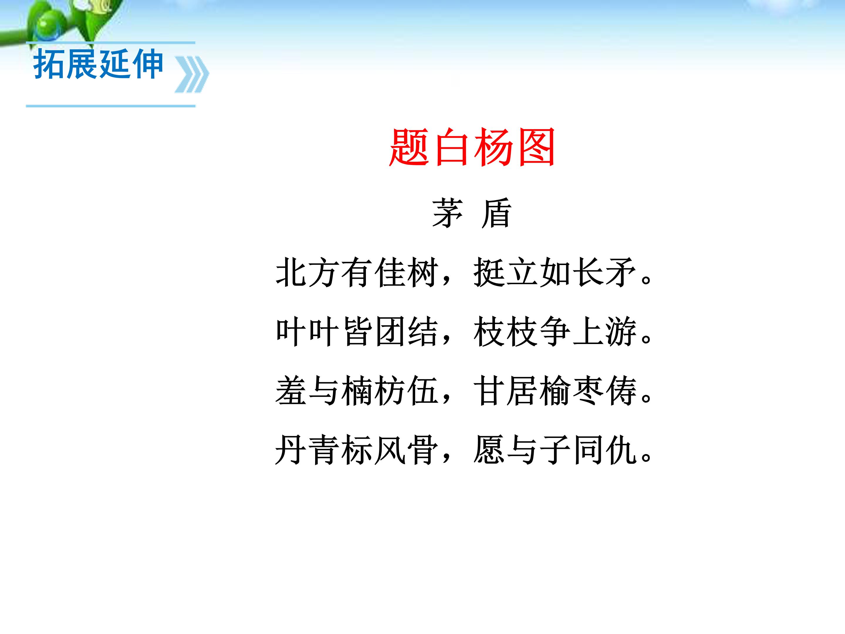 白杨礼赞ppt课件模板
