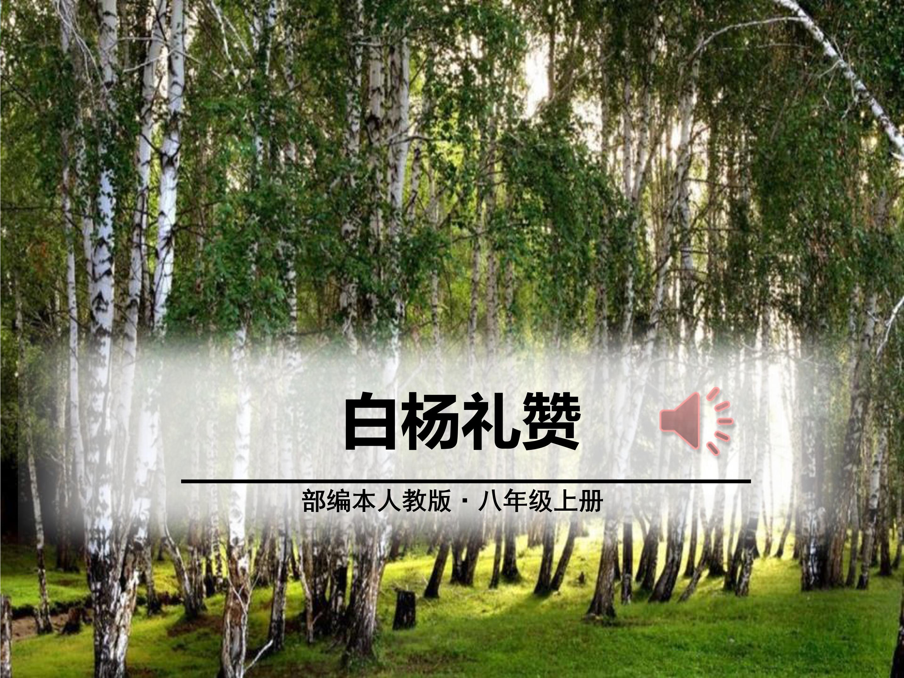 白杨礼赞ppt课件模板