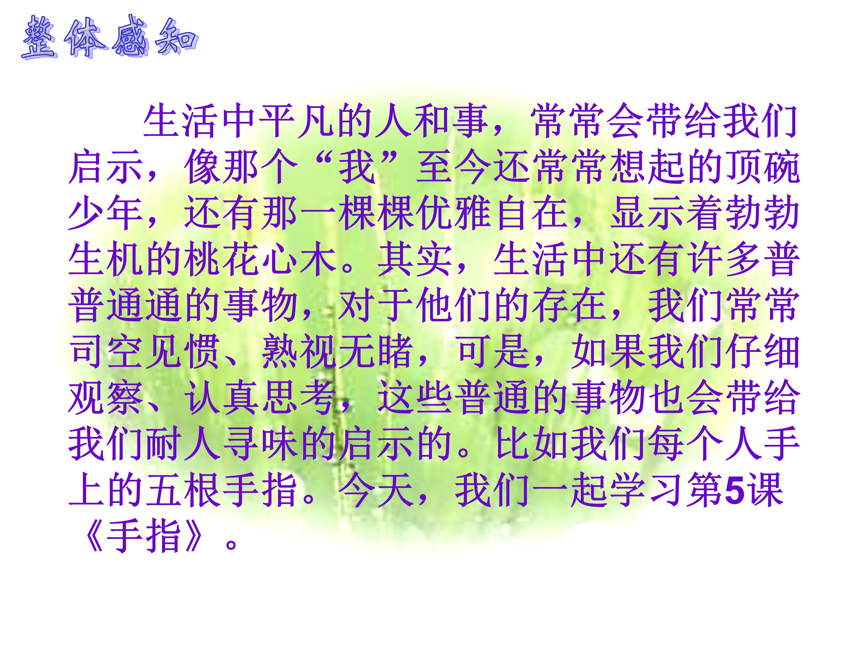 手指公开课课件ppt模板