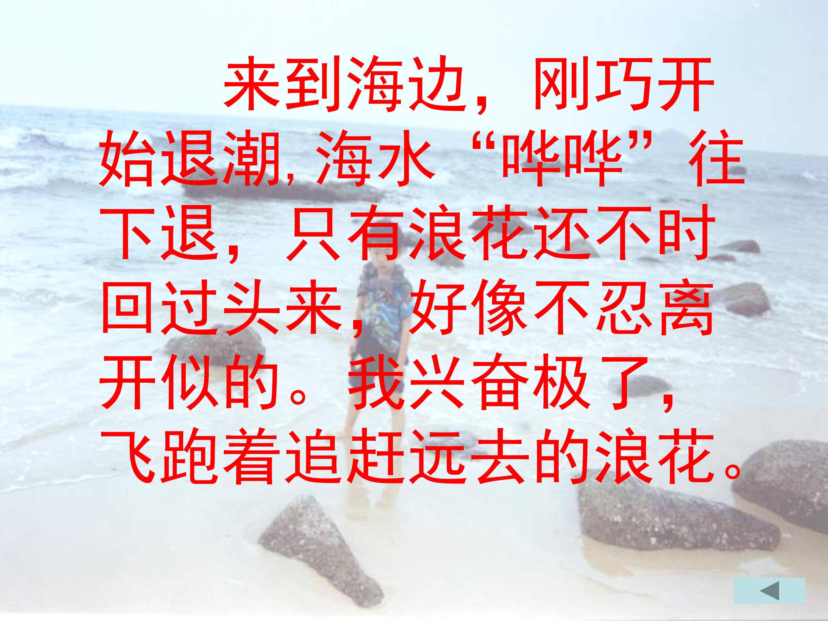 赶海ppt模板