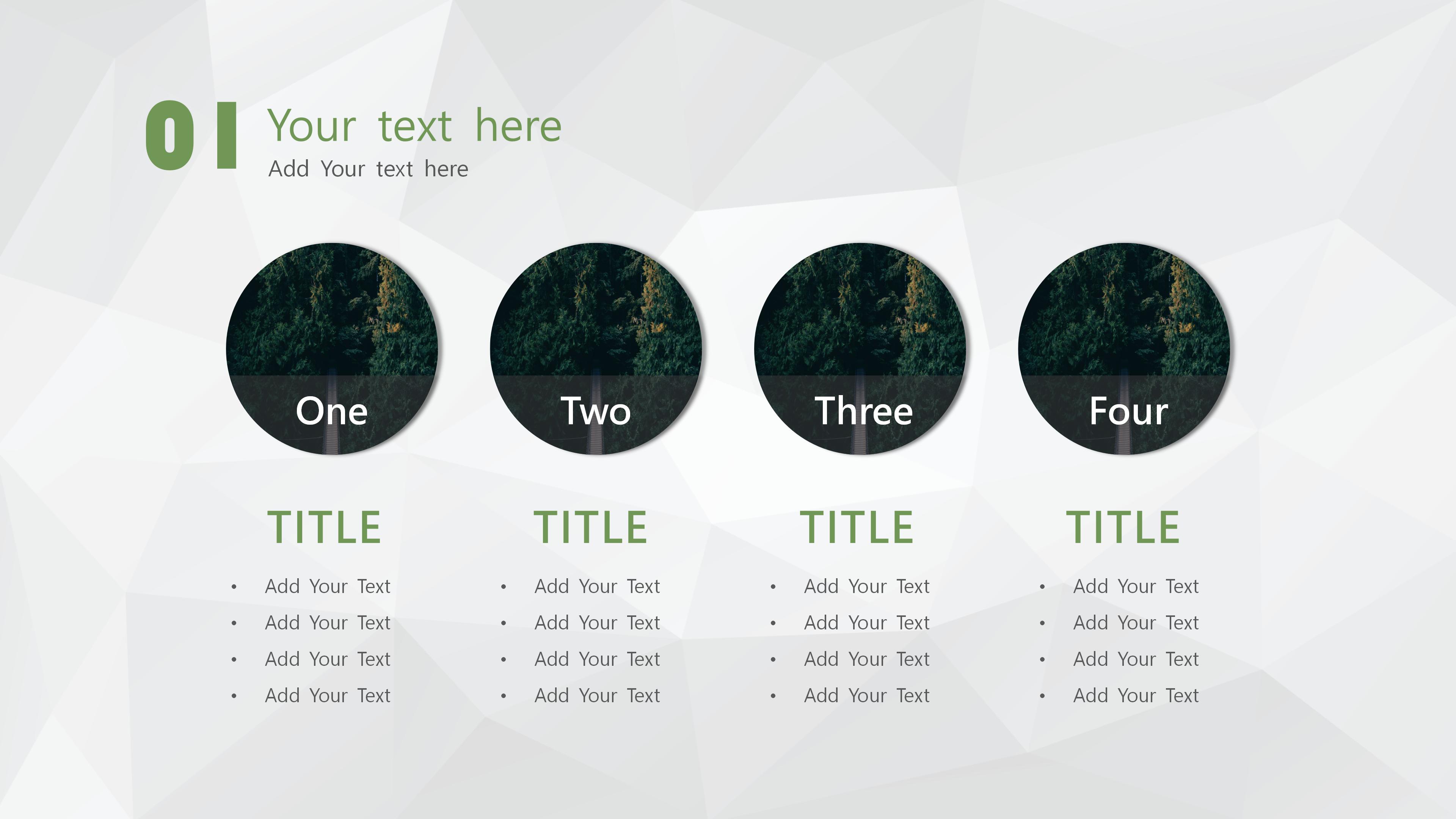 高级职业生涯规划ppt模板