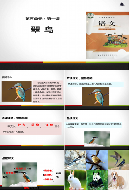 翠鸟生字ppt模板